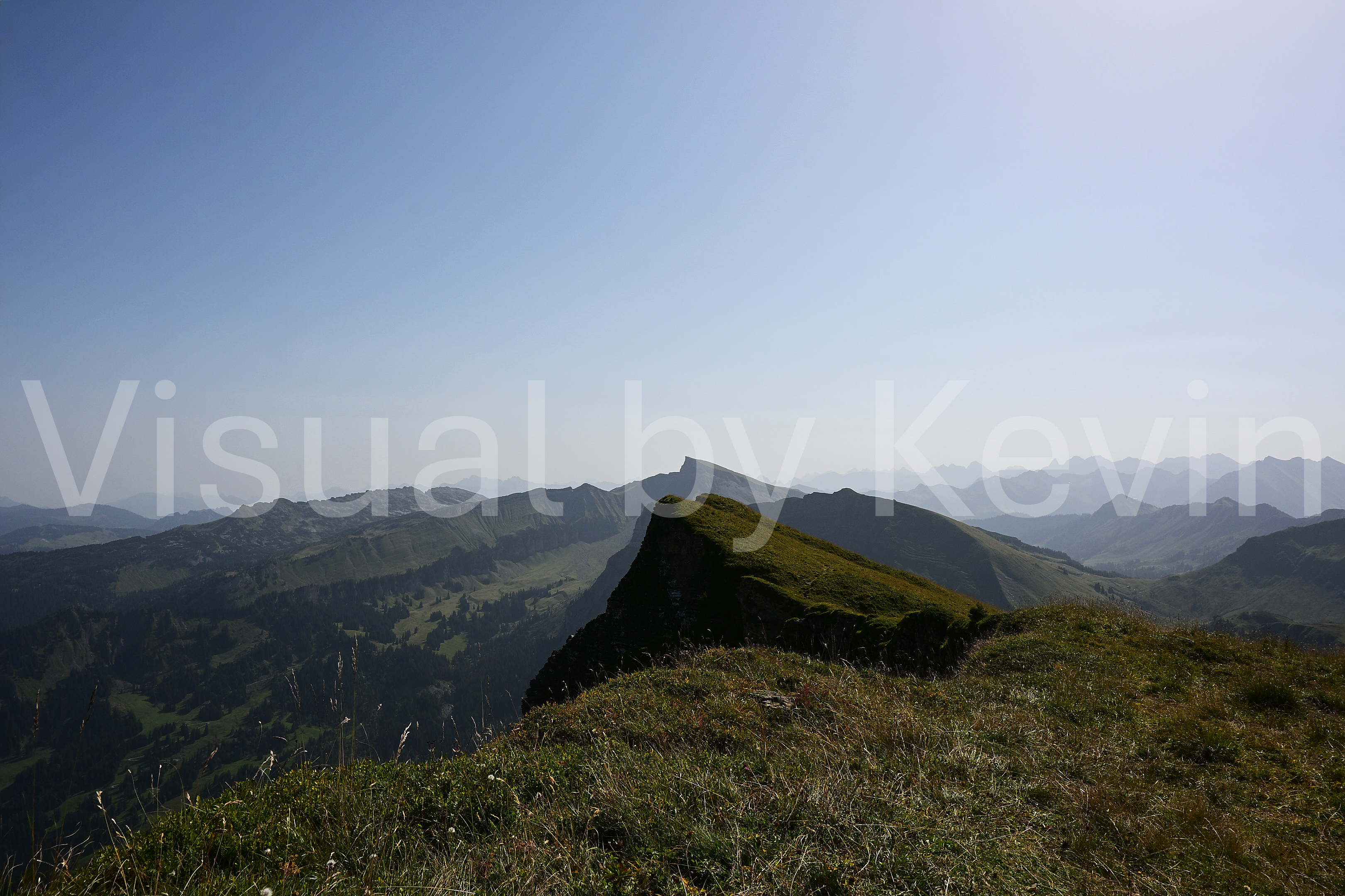 Naturwelt