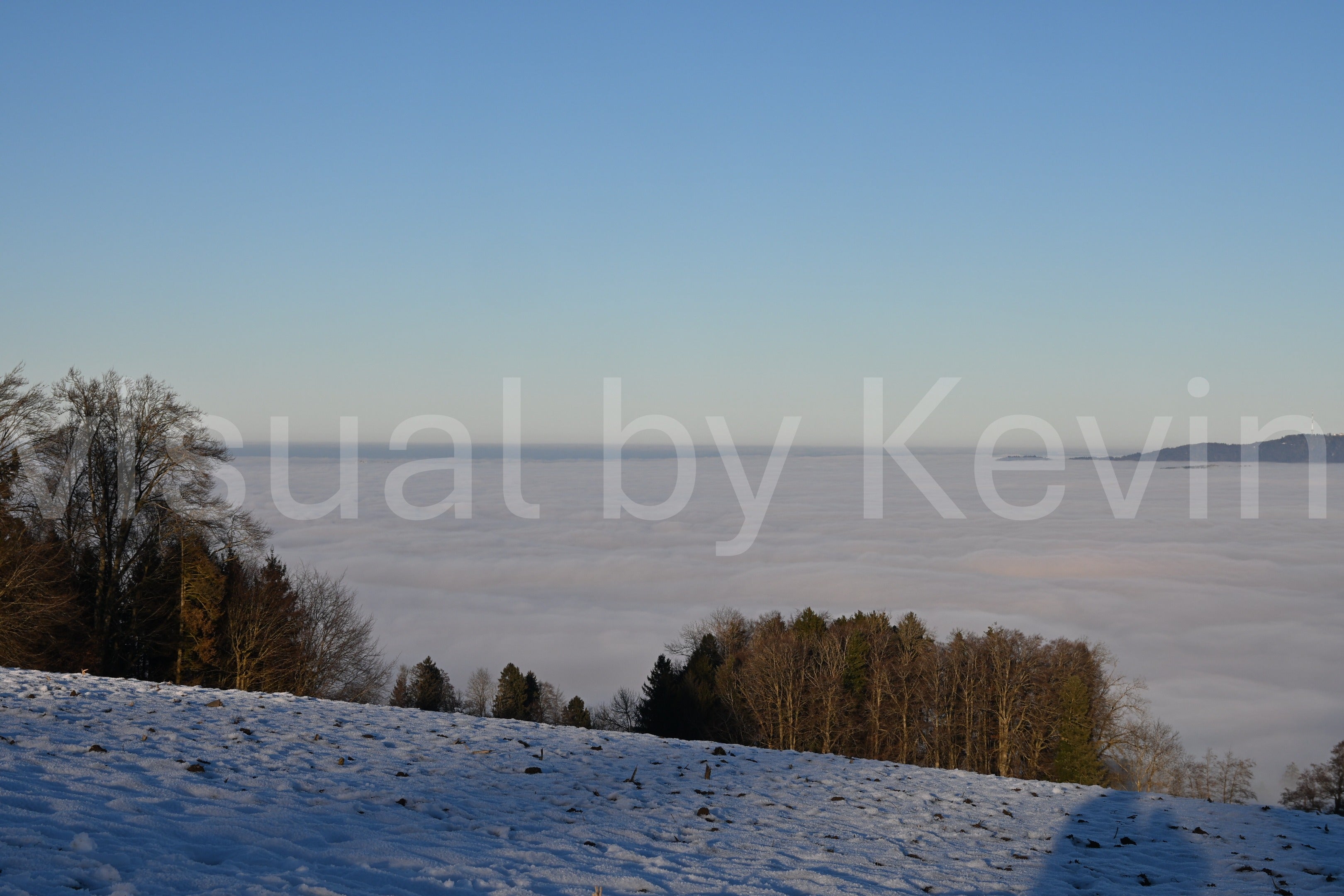 Wald am Hang über tiefliegendem Nebel