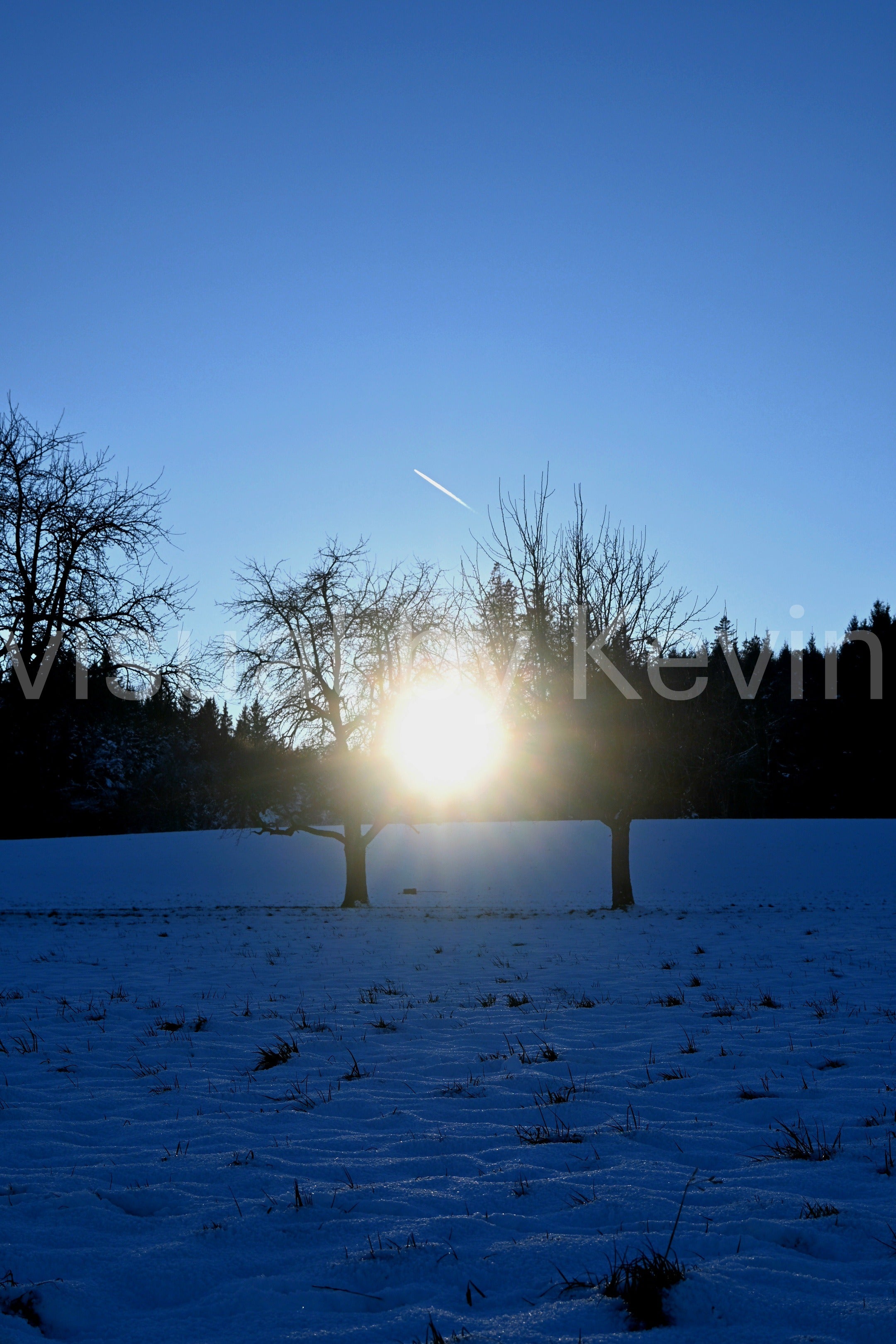 Sonne zwischen zwei Winterbäumen