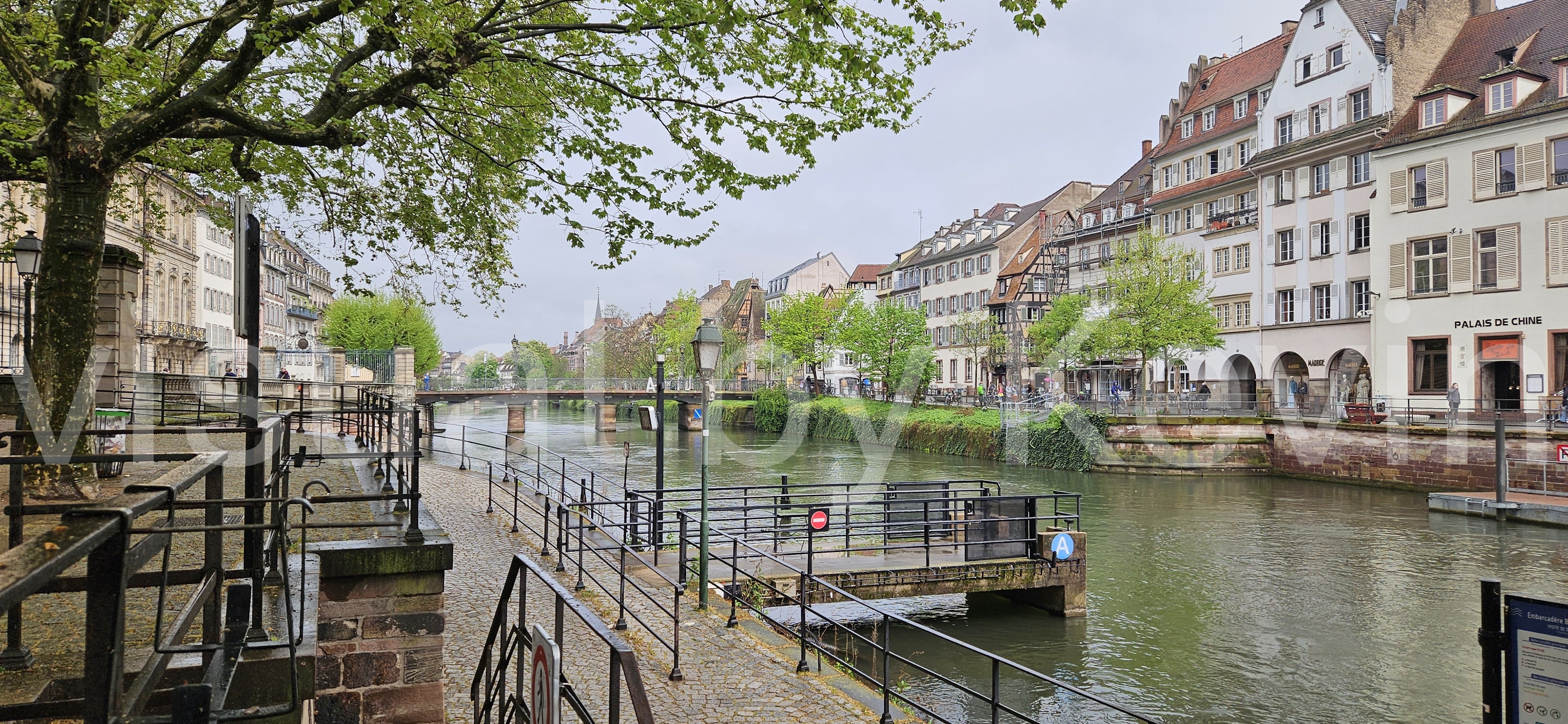 Ein atmosphärisches Frühlingsfoto aus Straßburg