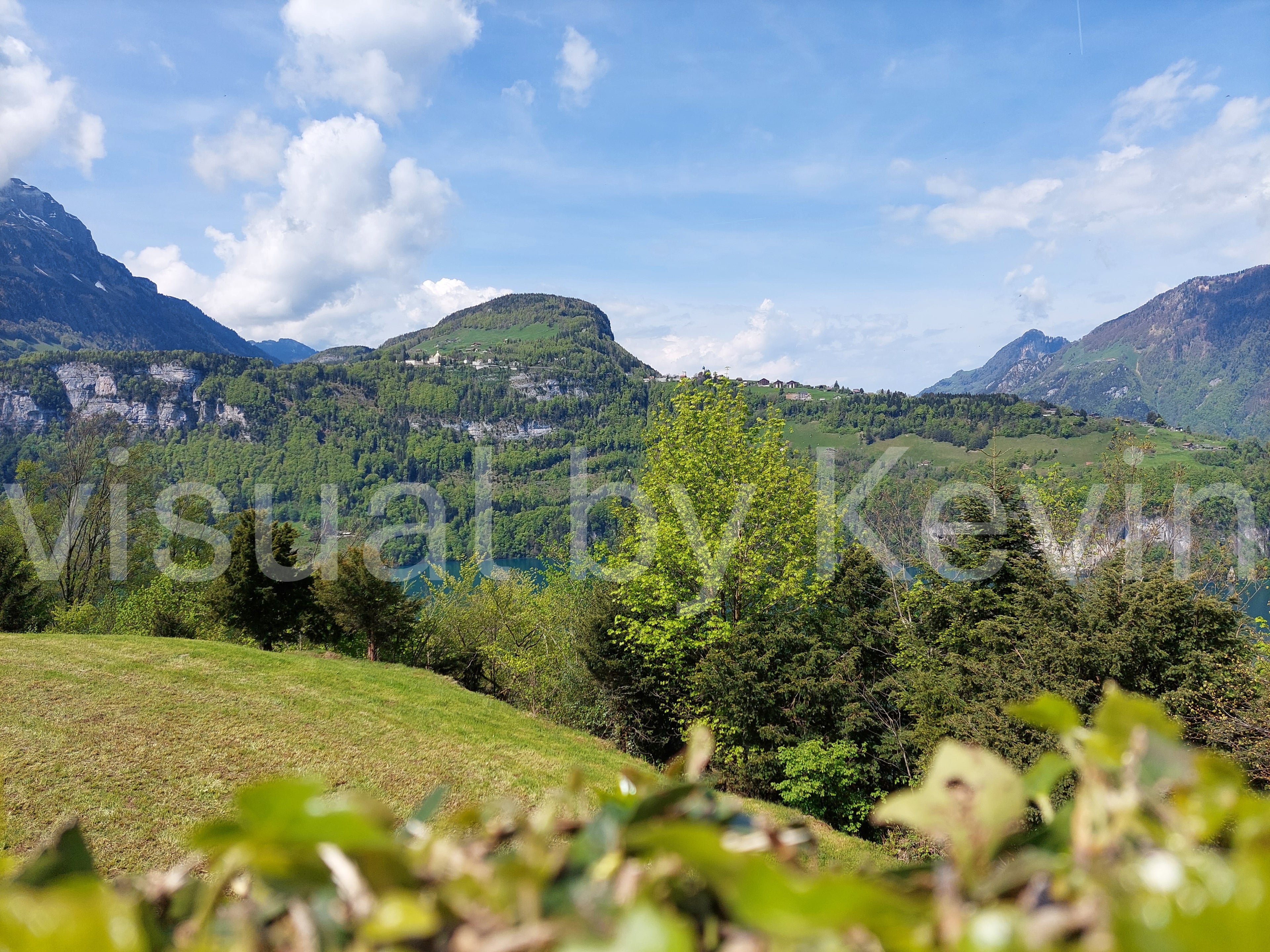 Berglandschaft mit Wiese und Laubbäumen