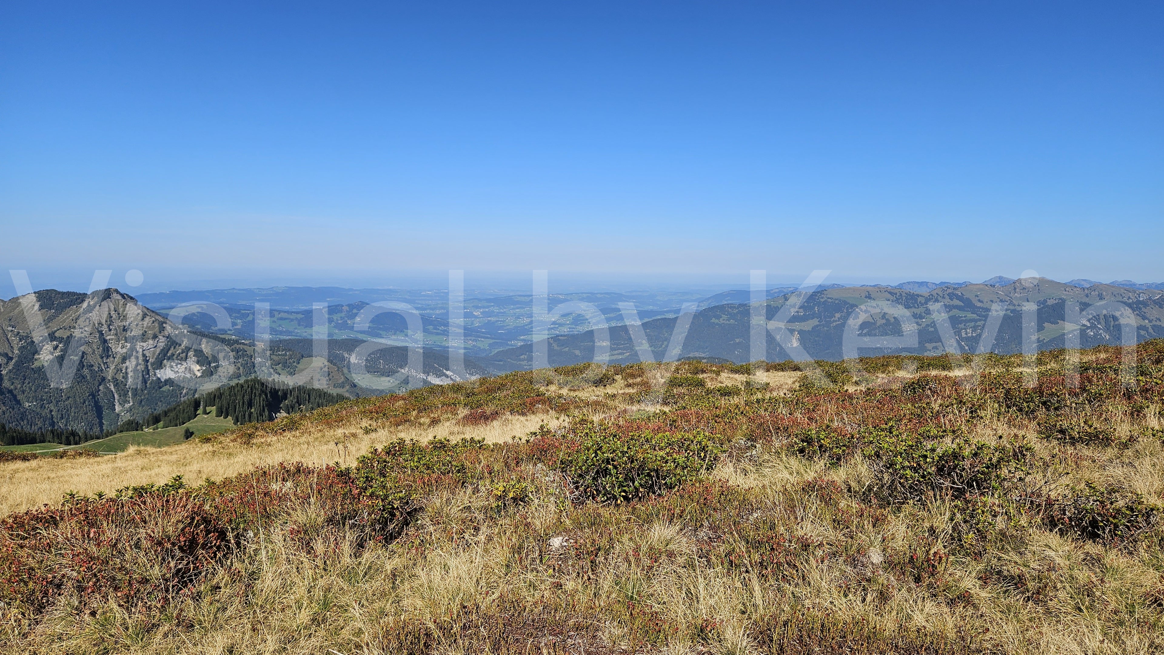 Weite Sicht über herbstliche Alpwiesen