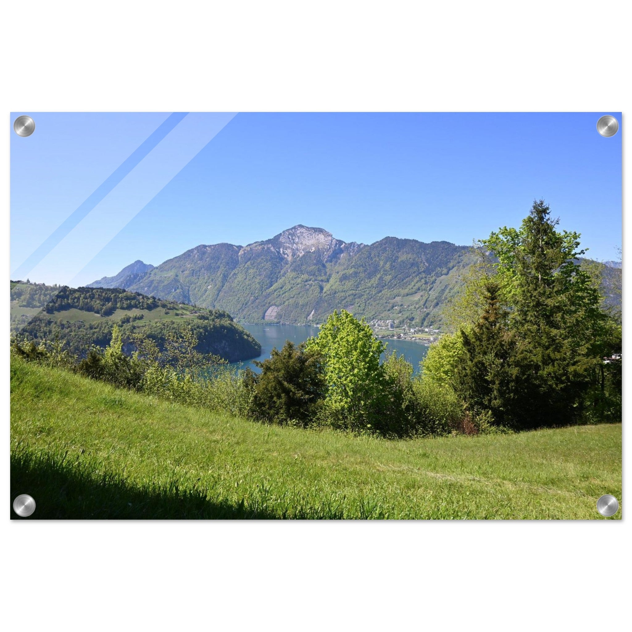 0081e9f5-5ad7-42db-bbfe-b7ad9244ba20