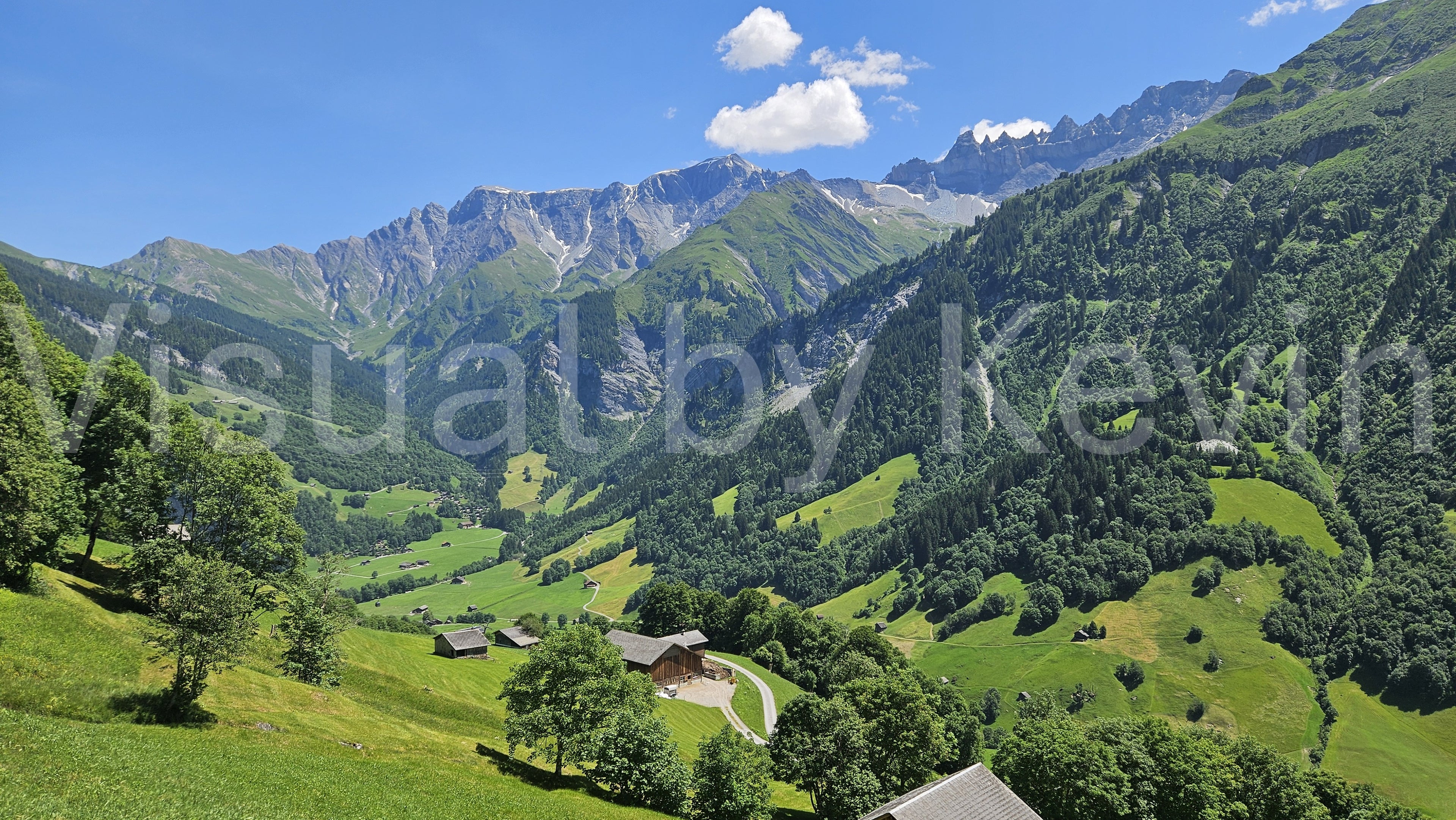 Sommerliches Tal mit Alphütten