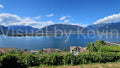 Luganer Seeblick mit Palmen und Bergen