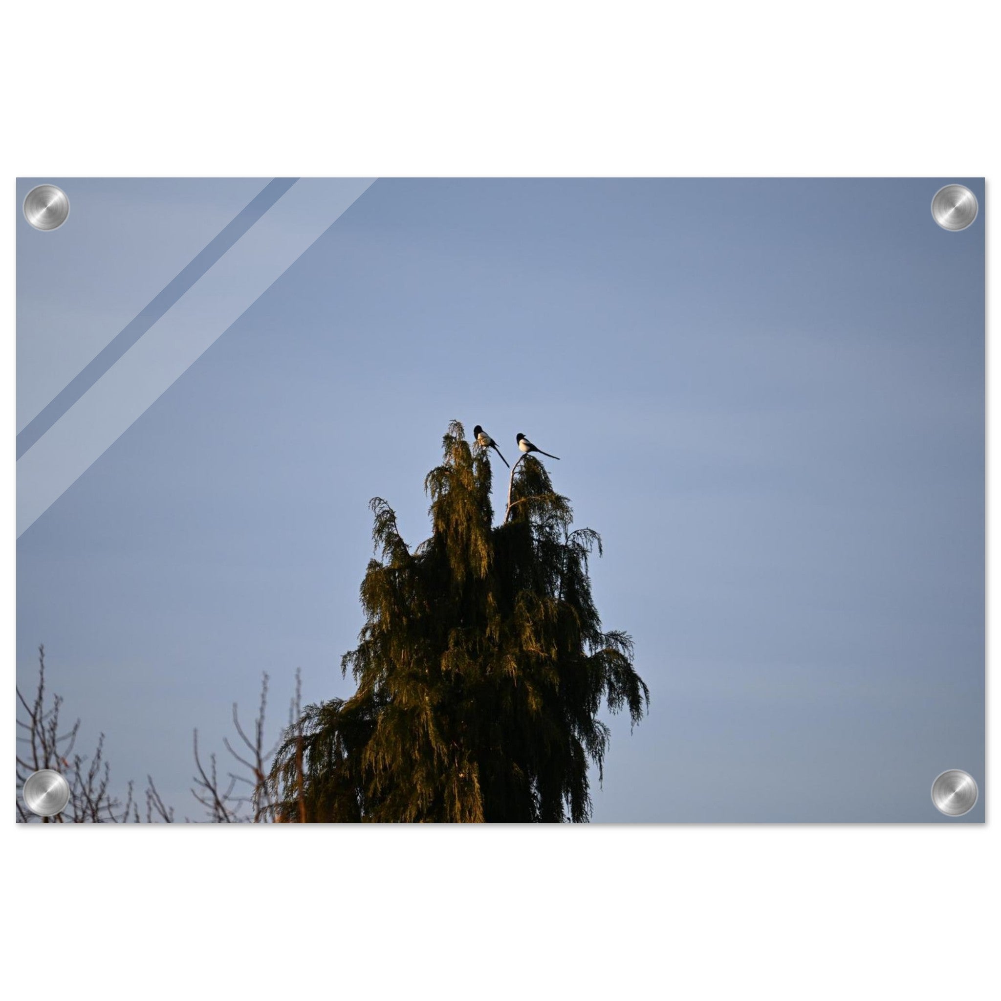 00ba08b9-e1f8-4e63-b110-4454d6ab09aa
