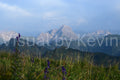 Blüten vor dem Berg