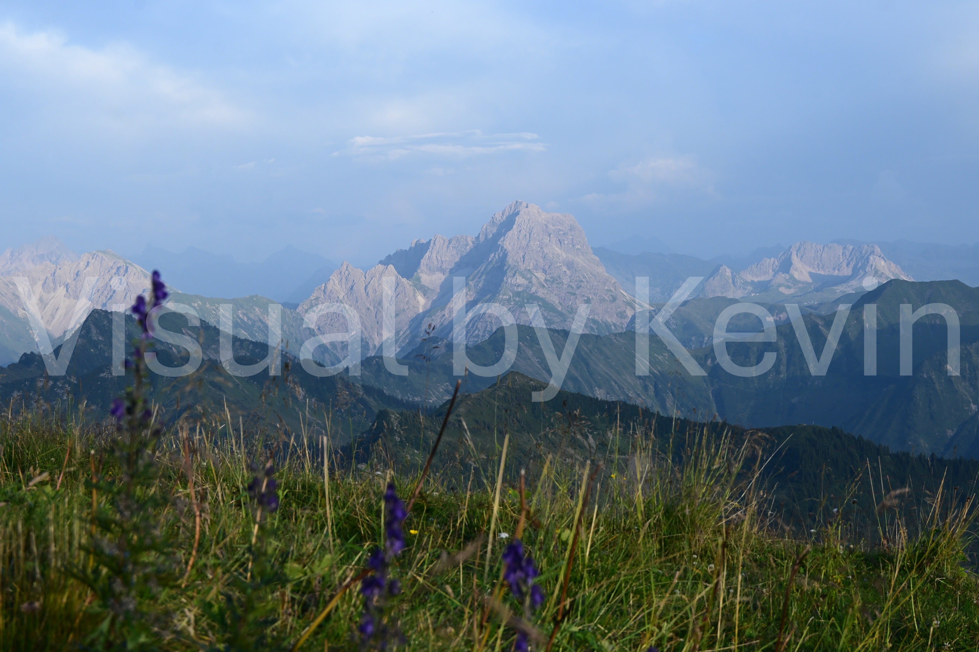 Blüten vor dem Berg