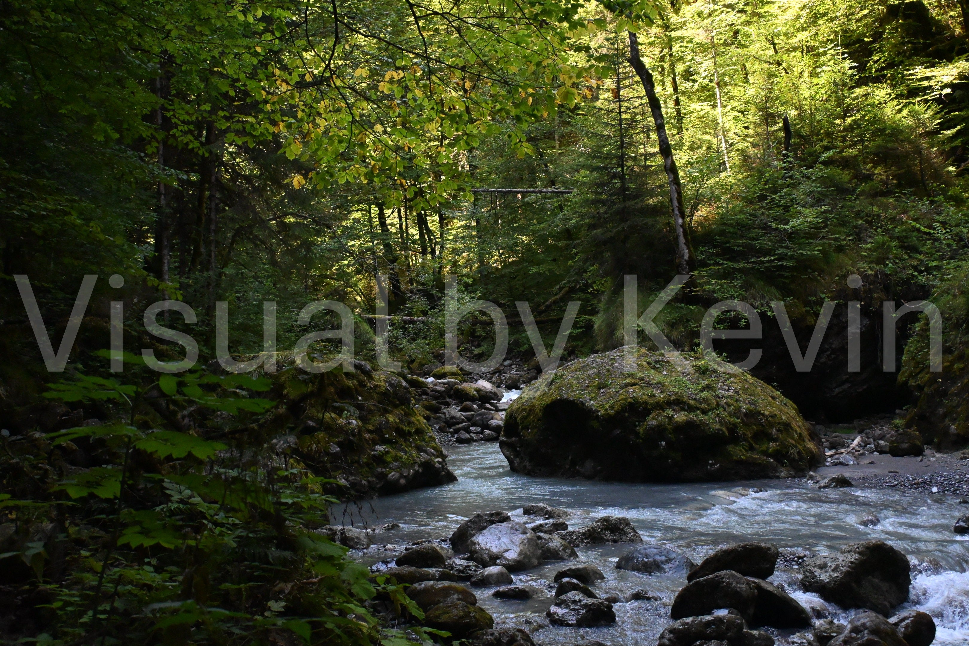 Quiet on the river