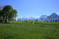 Wiese mit Alpenpanorama