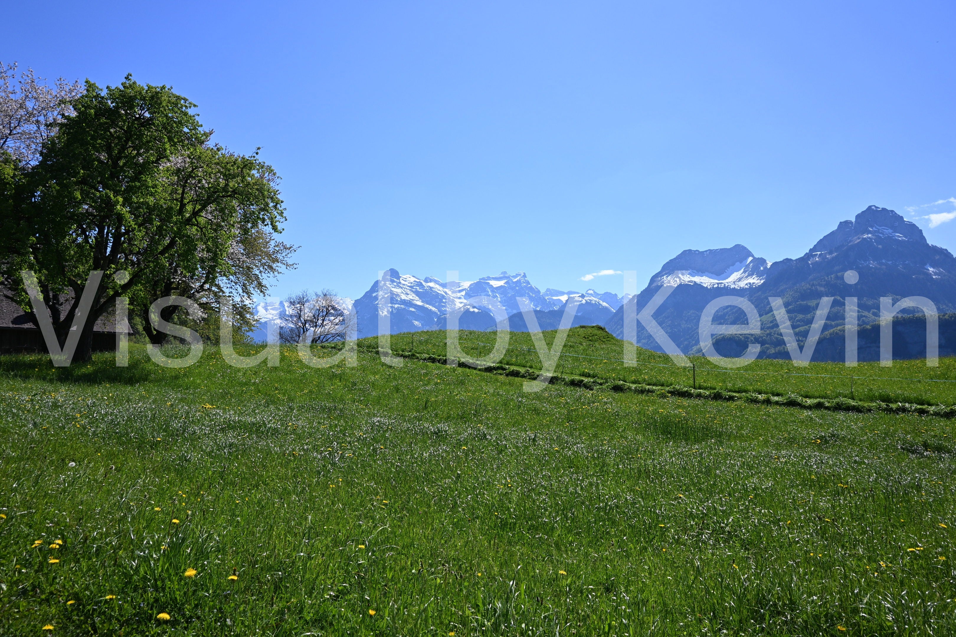 Wiese mit Alpenpanorama