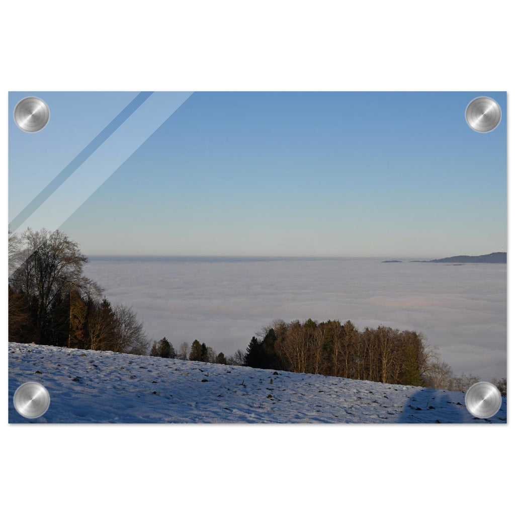 02ce9831-dbbd-4633-a67d-cb07d48368c3