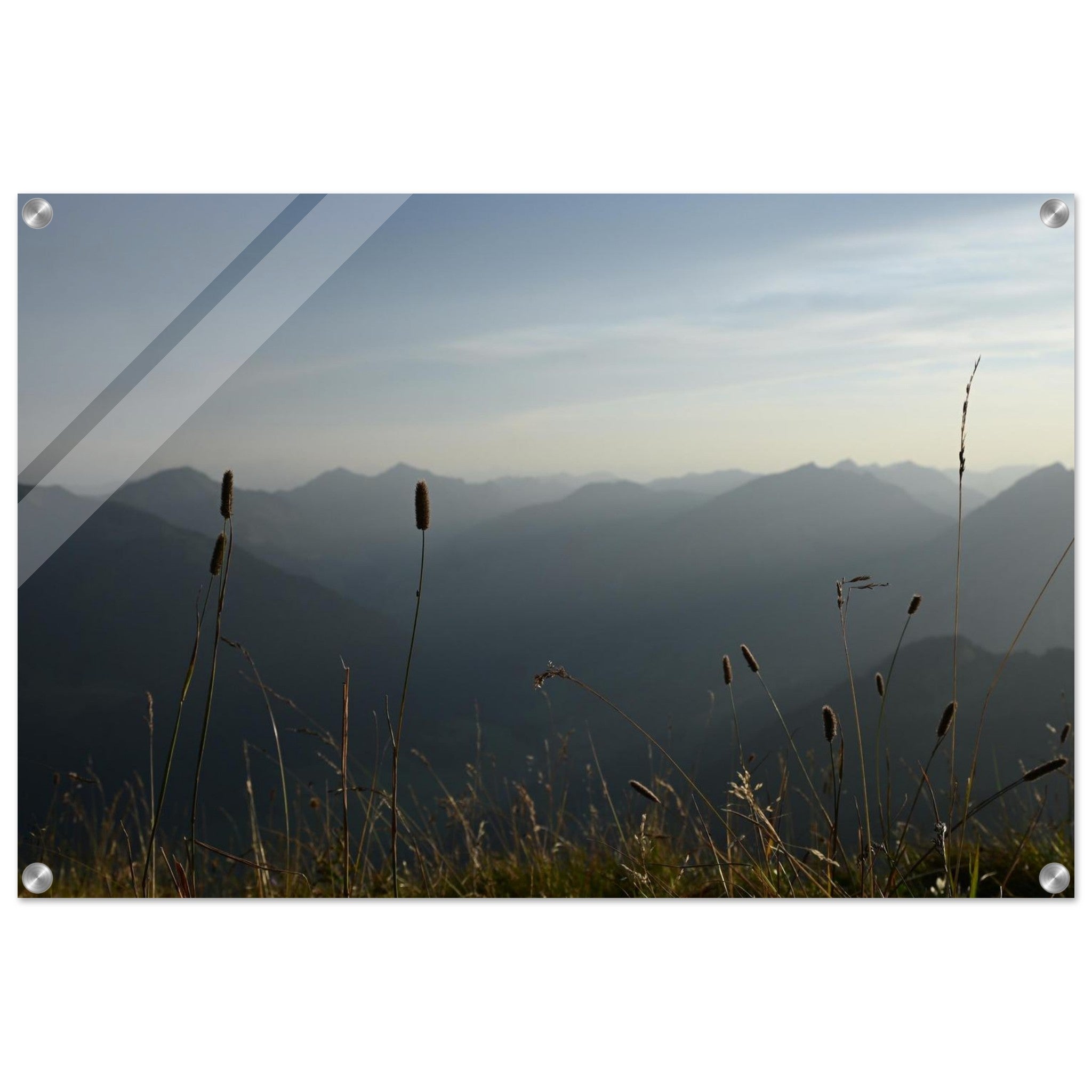 0dda7d74-299b-4dbc-804d-c2368da66320