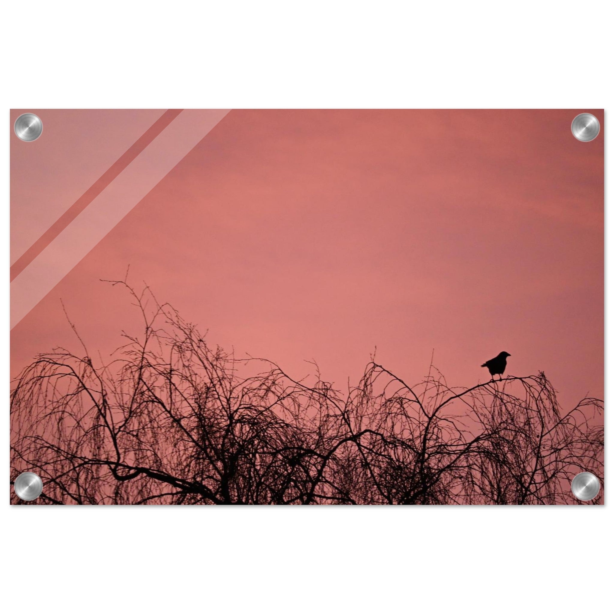 102777b2-aaa5-443c-a3f6-582a15a13ca9