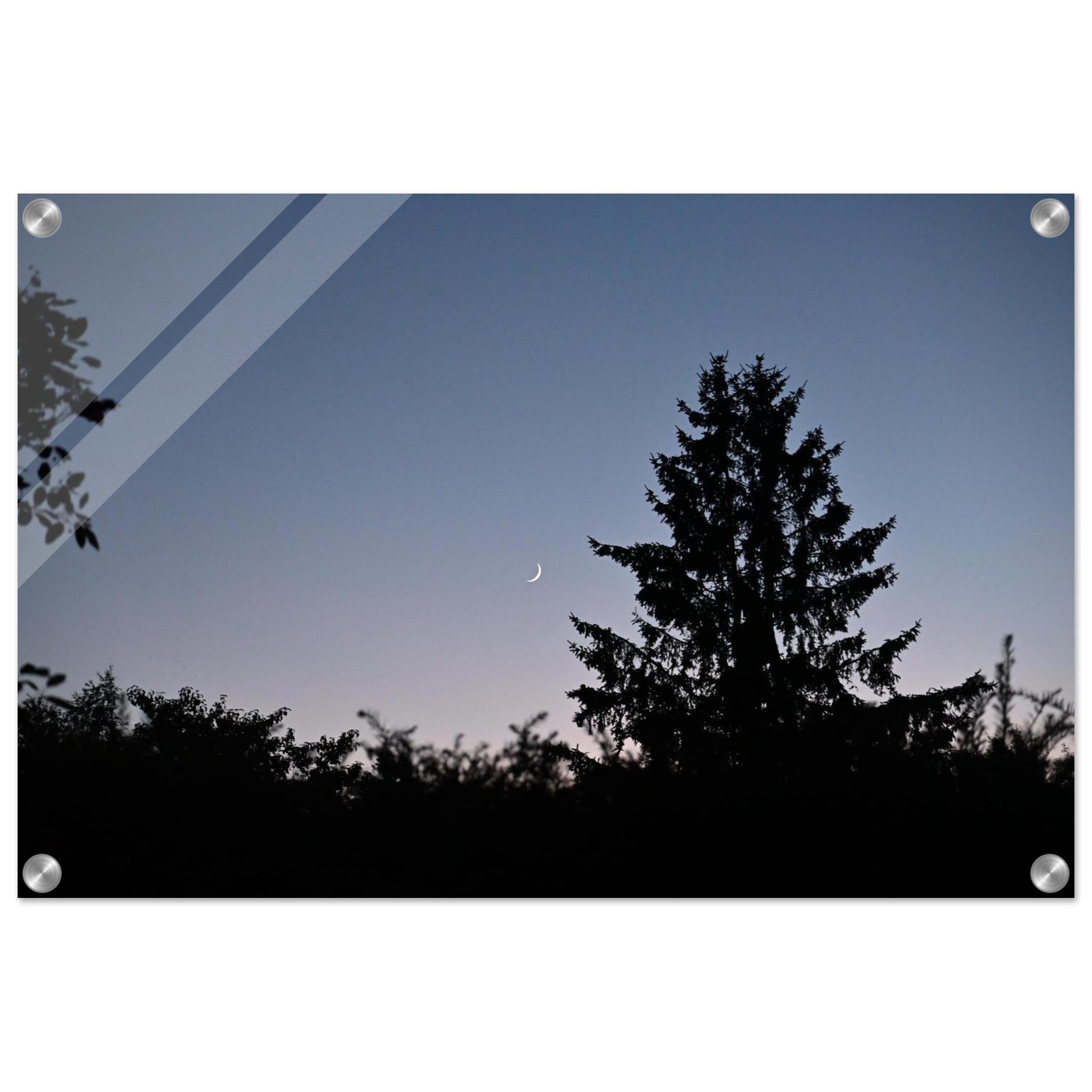 128b7a1a-6b62-4113-838f-d9654cdc2d63