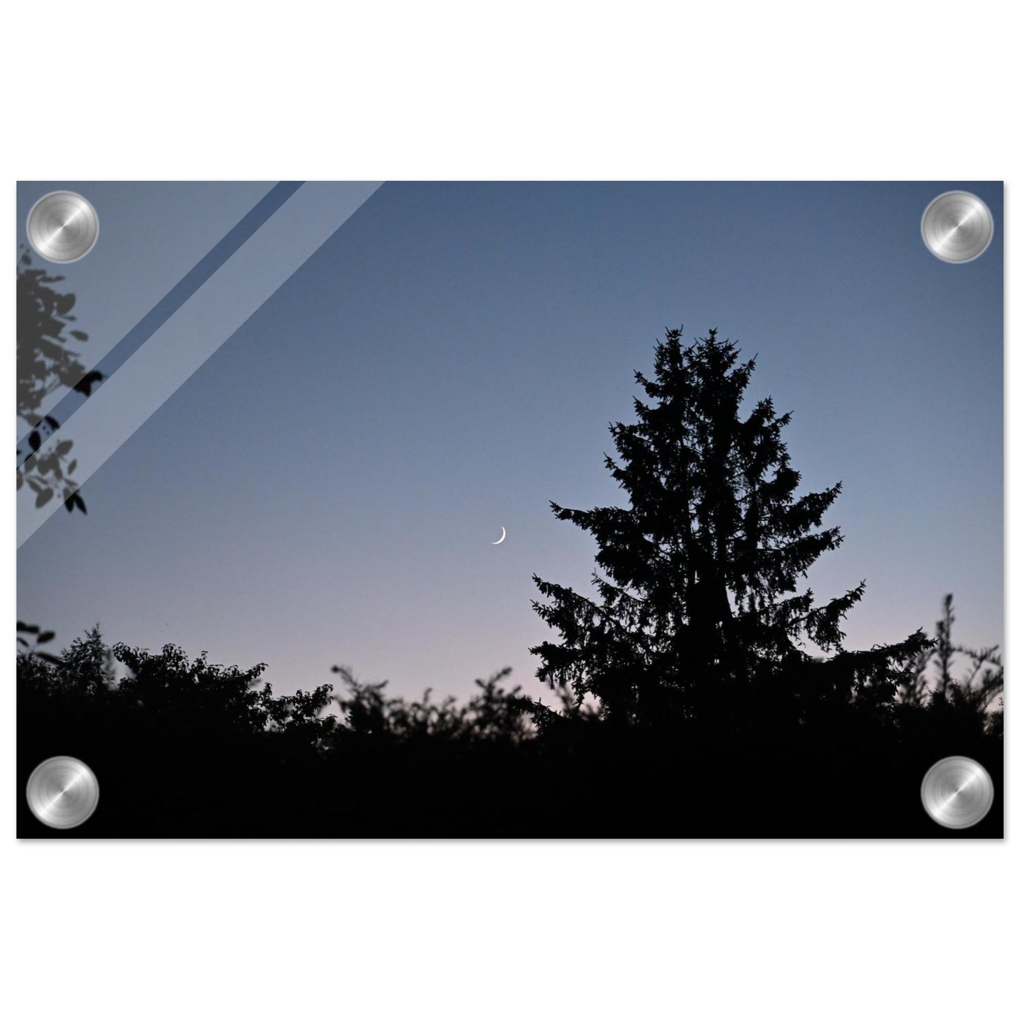 13cfe9a7-98d3-48c8-8d1d-38aba8cca2c5