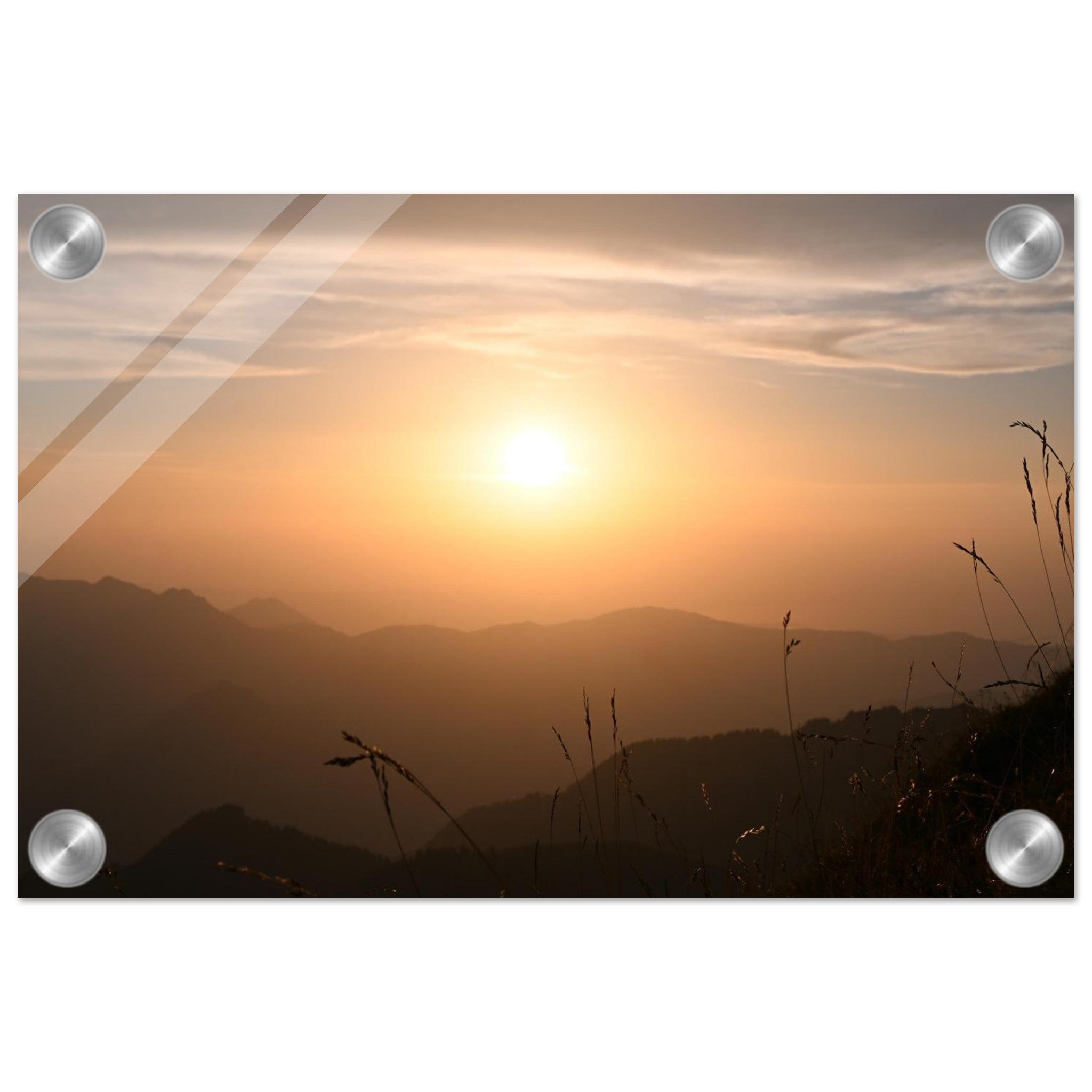 154d86d5-ddb5-40d8-b567-e0b3efc80877