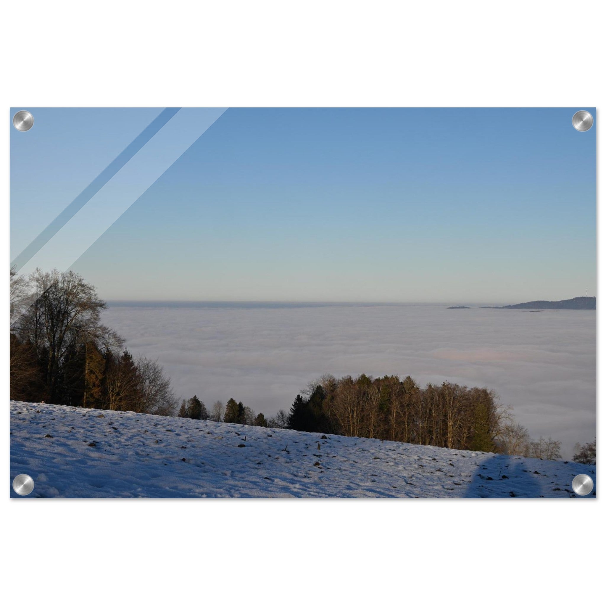 15f02381-231f-4297-8411-6d206d288610