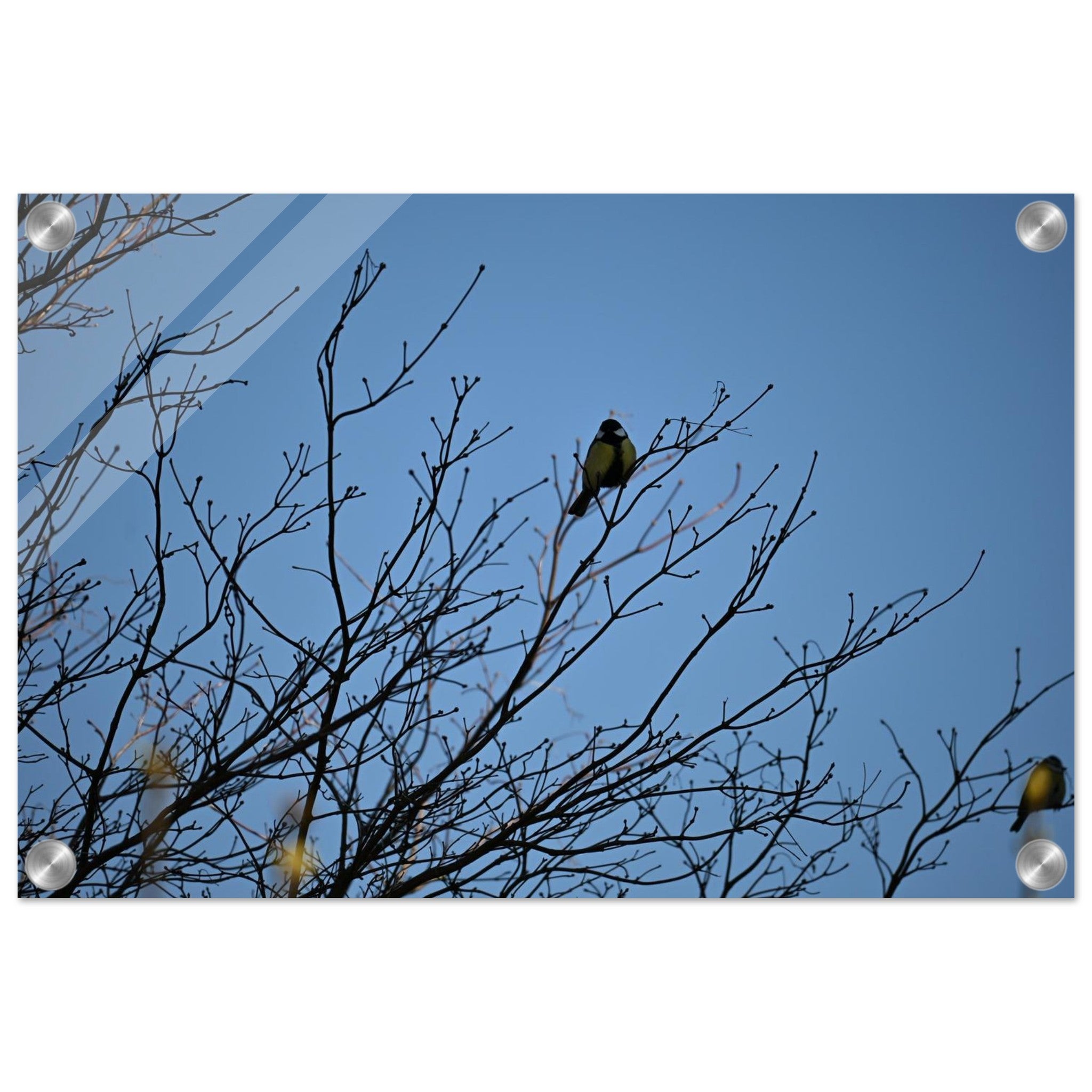 1600f0cc-f53c-4628-a28f-0fdf08f92fb9