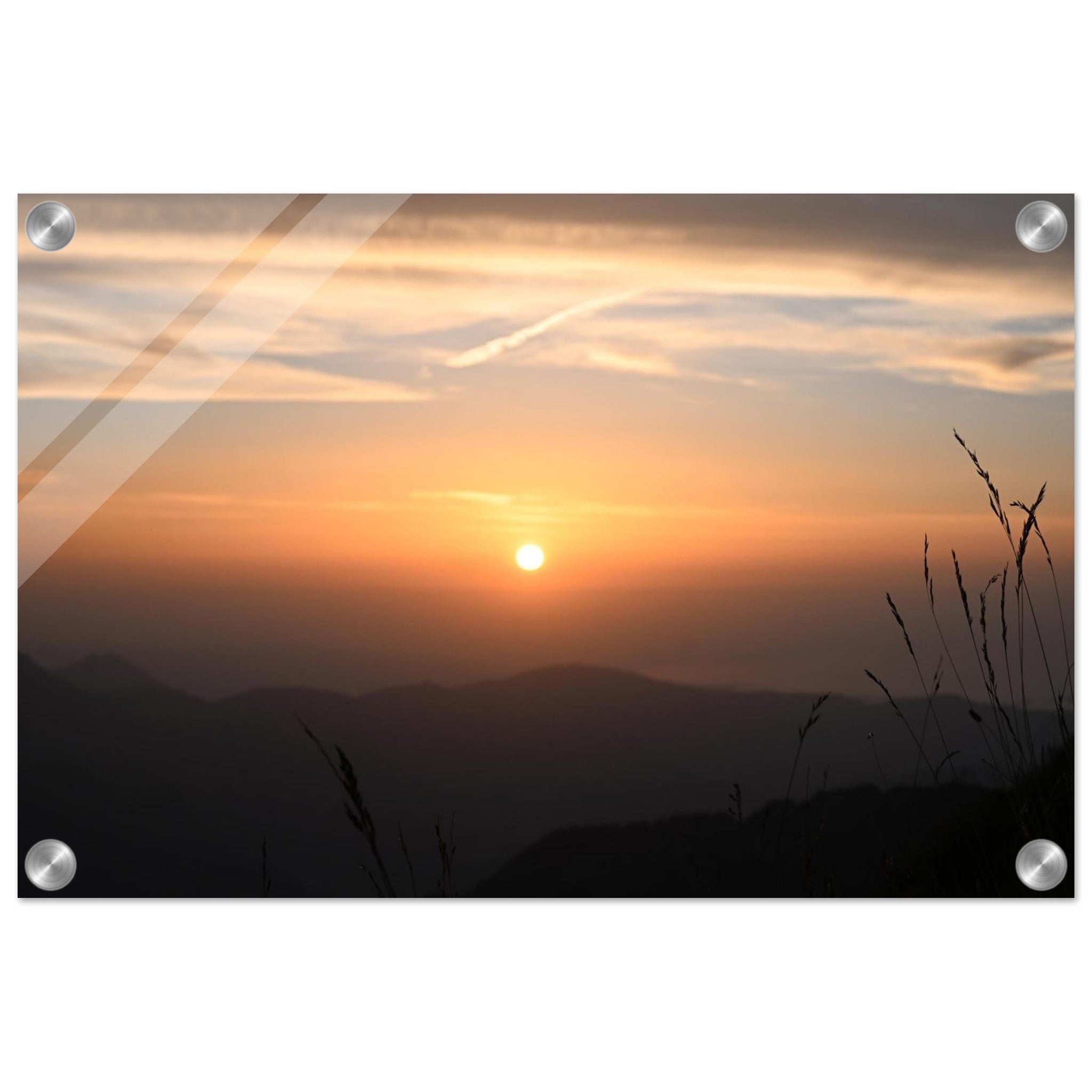 16c8d9ee-de92-4c1c-aa73-dc5d4115b18a
