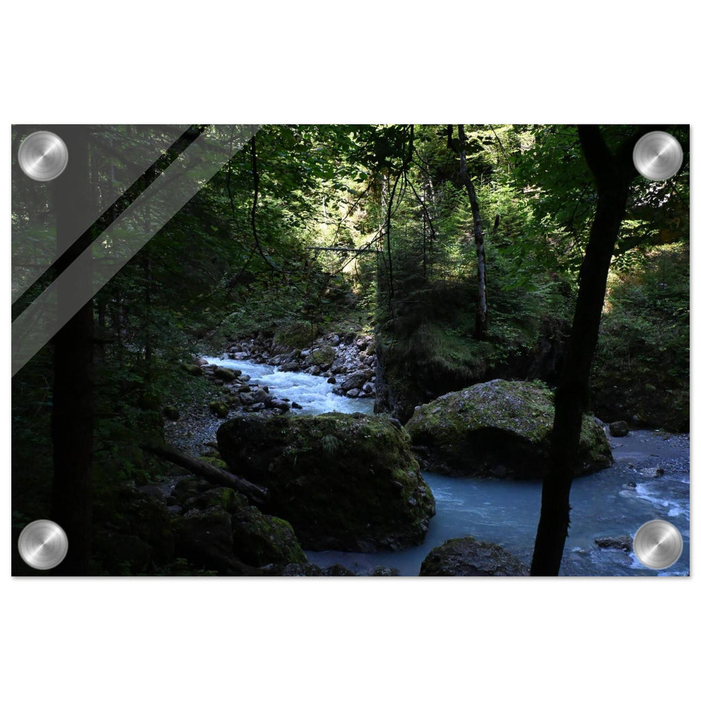 1c13a098-eeb8-47c3-b967-f5208434f52e