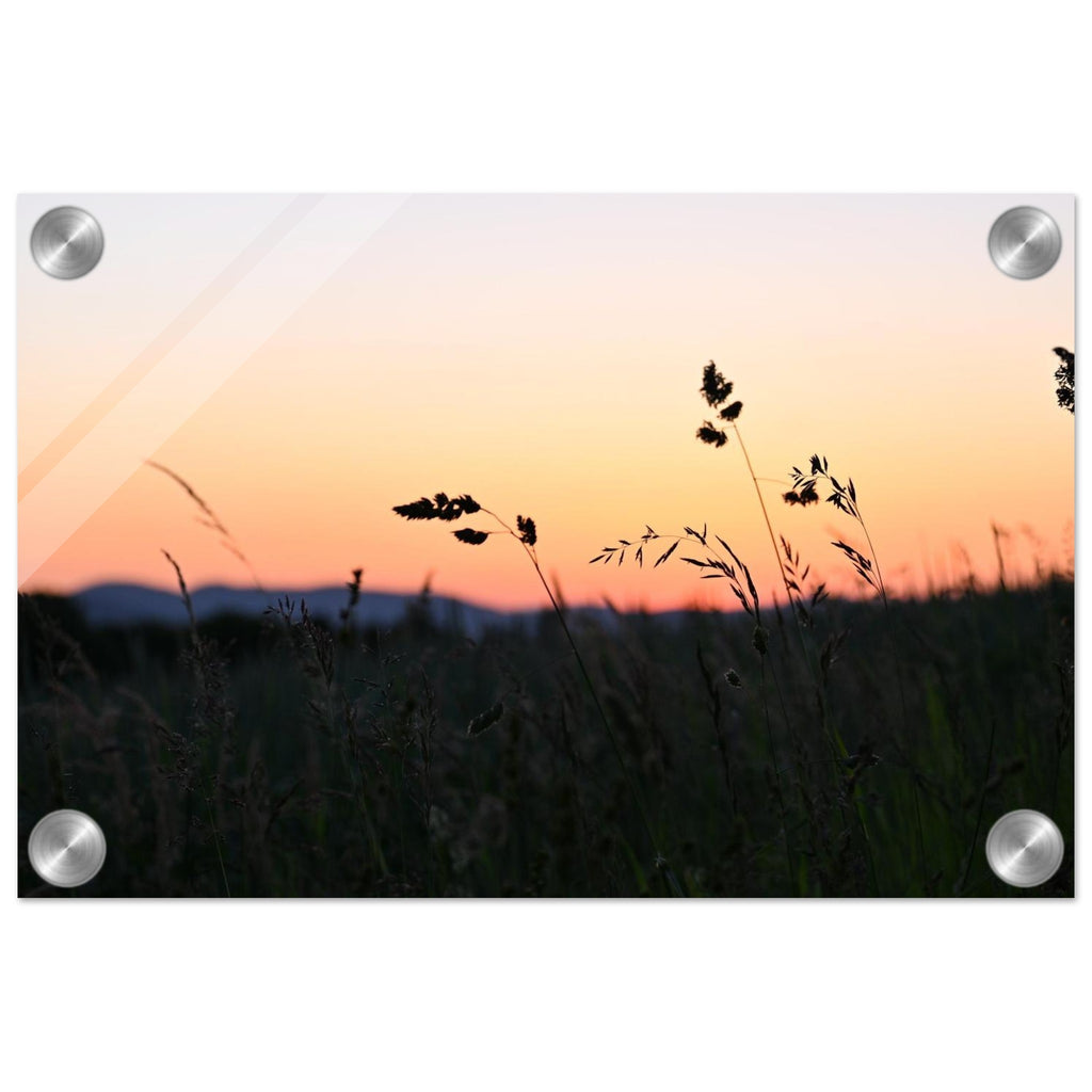 1d6b79b1-f41e-4761-9c9d-2b3858d06e1c