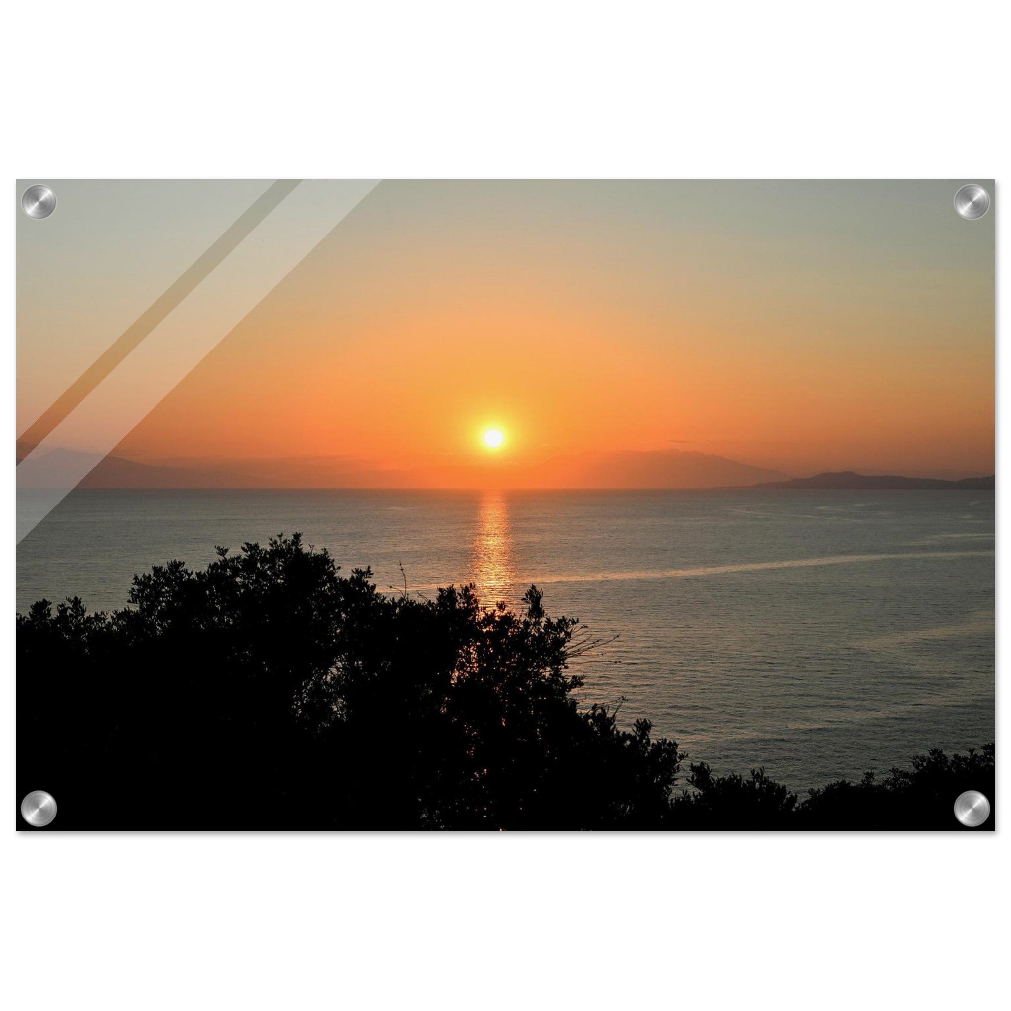 24e52d53-8c0f-4367-b484-71638616f6e1