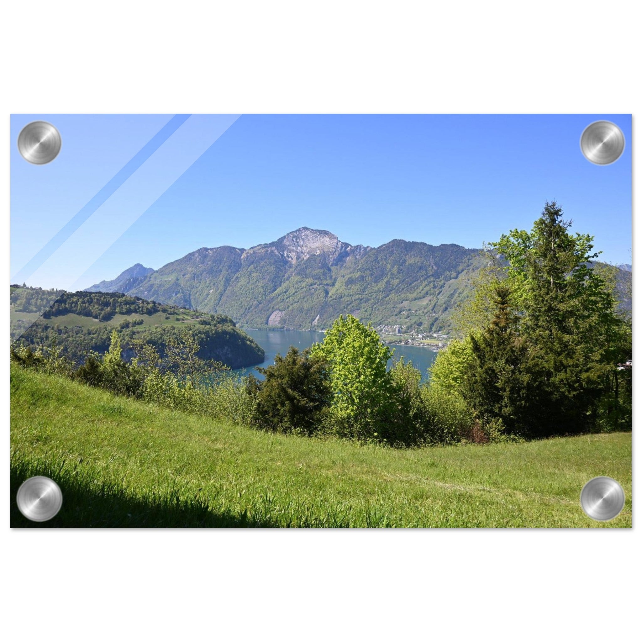 36aa7cfb-5503-480e-83a6-7493f6db5075