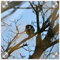 3798d221-f871-4434-8732-bc6e16451f0f