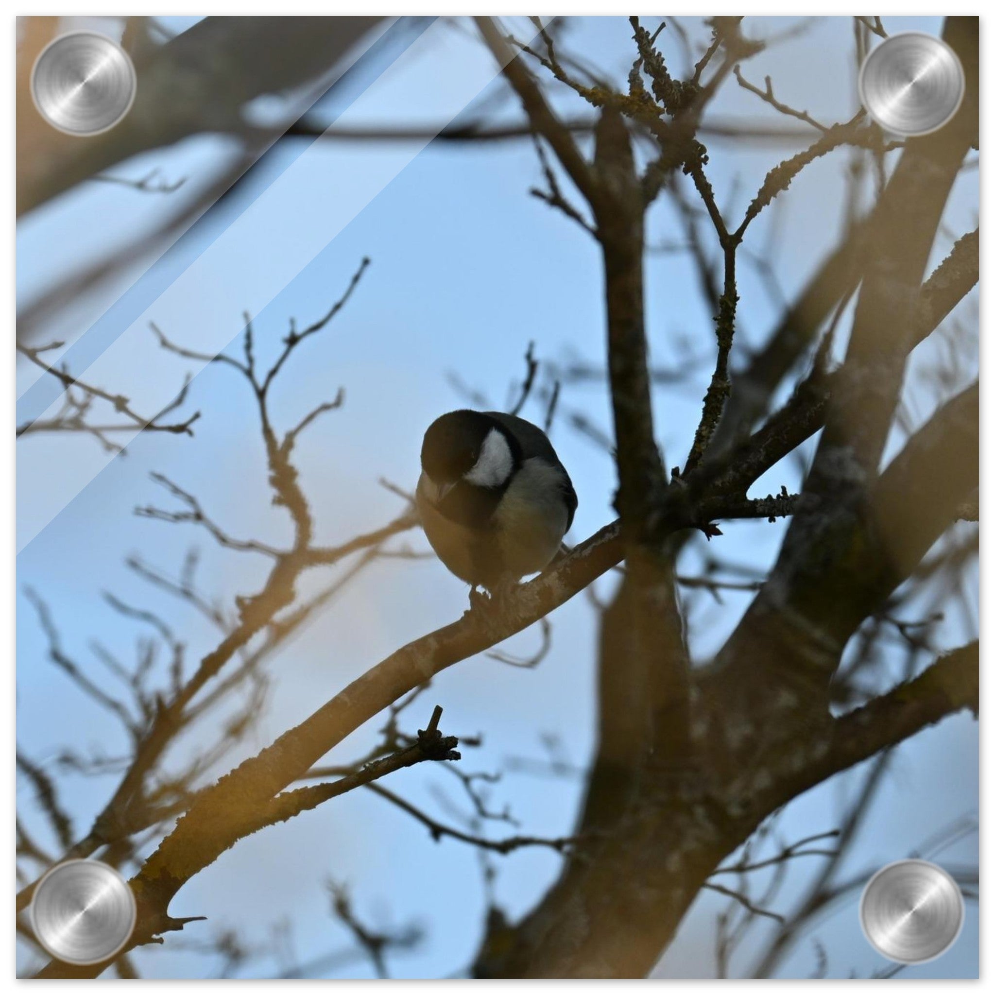 3798d221-f871-4434-8732-bc6e16451f0f