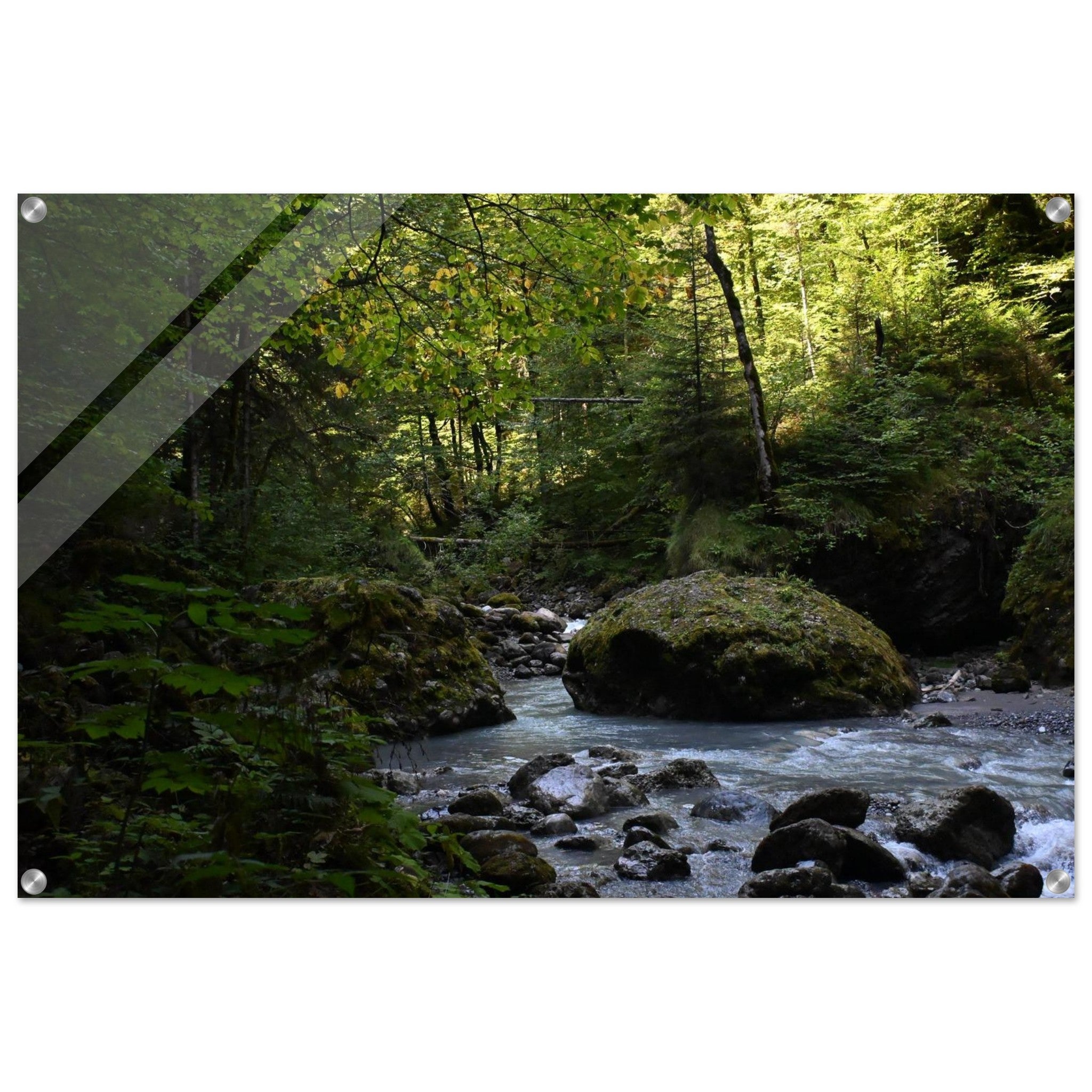 38c62022-e608-466a-a00f-a511fad5e23c