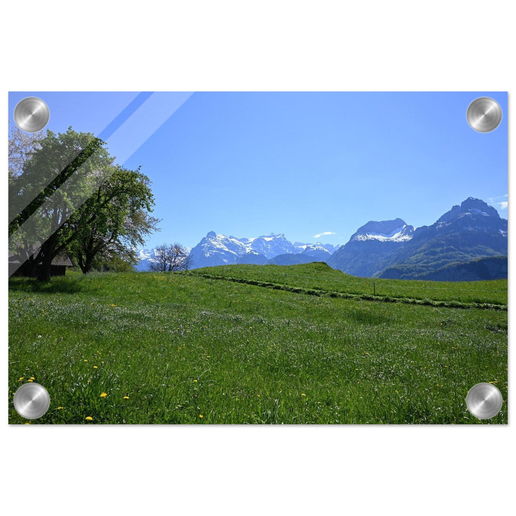 3d17dd49-4157-402c-9b1e-d5972d185f2e