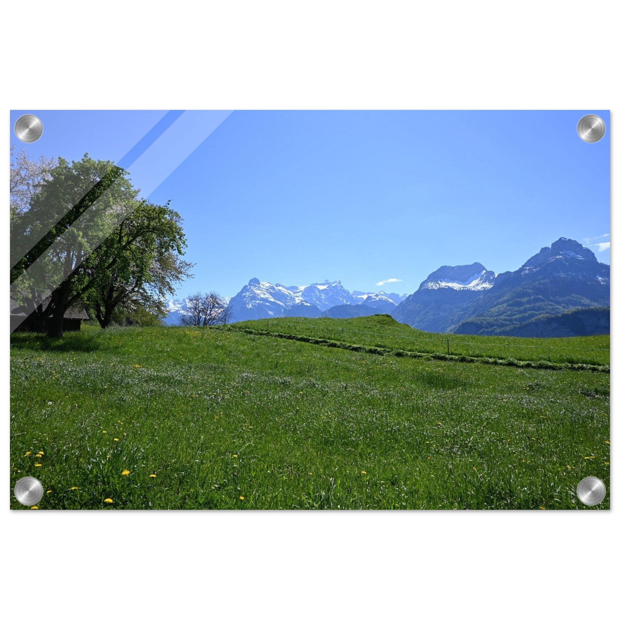 3d7717f1-cc81-42bd-8d7d-74caa7d506af
