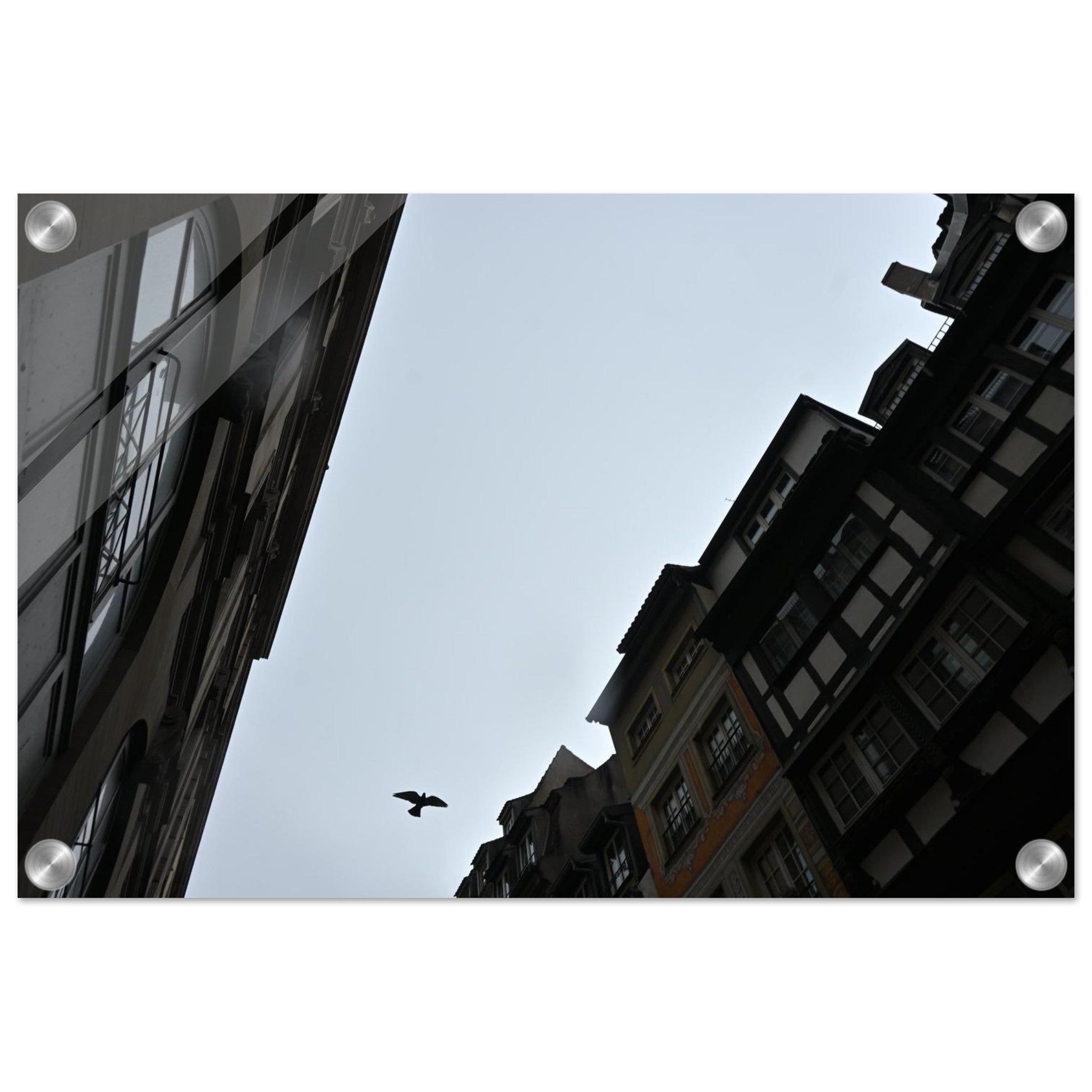 3fb22076-108c-4524-b49d-6901d2375b01
