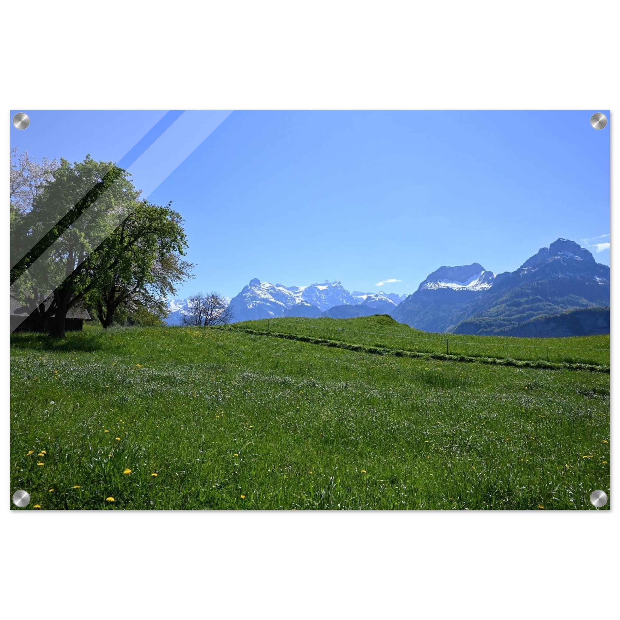 3fdd44fd-b10a-47f4-9d90-0b77c69f1726