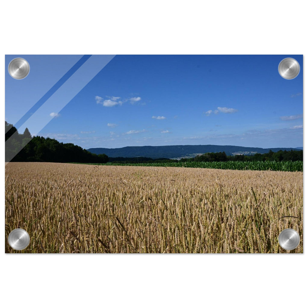 409c7f51-bda0-4dab-bc1b-978bb3289bad