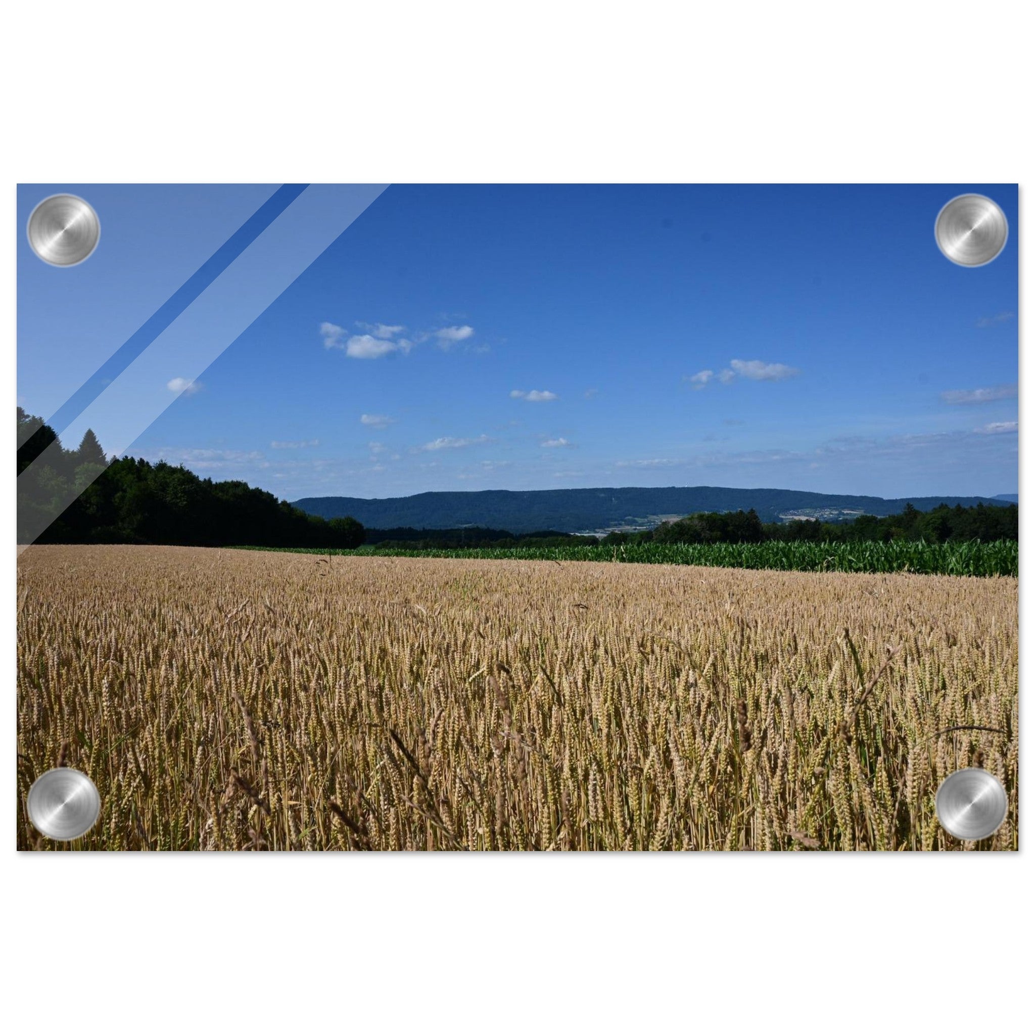 409c7f51-bda0-4dab-bc1b-978bb3289bad