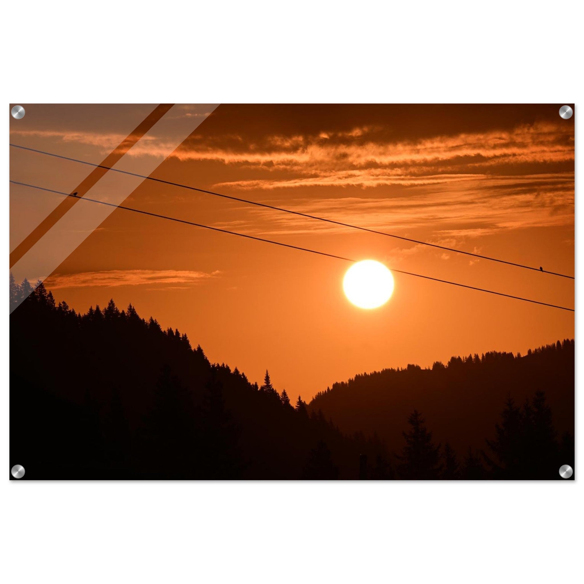 419471ec-bb02-4b54-9056-7143fd33905e