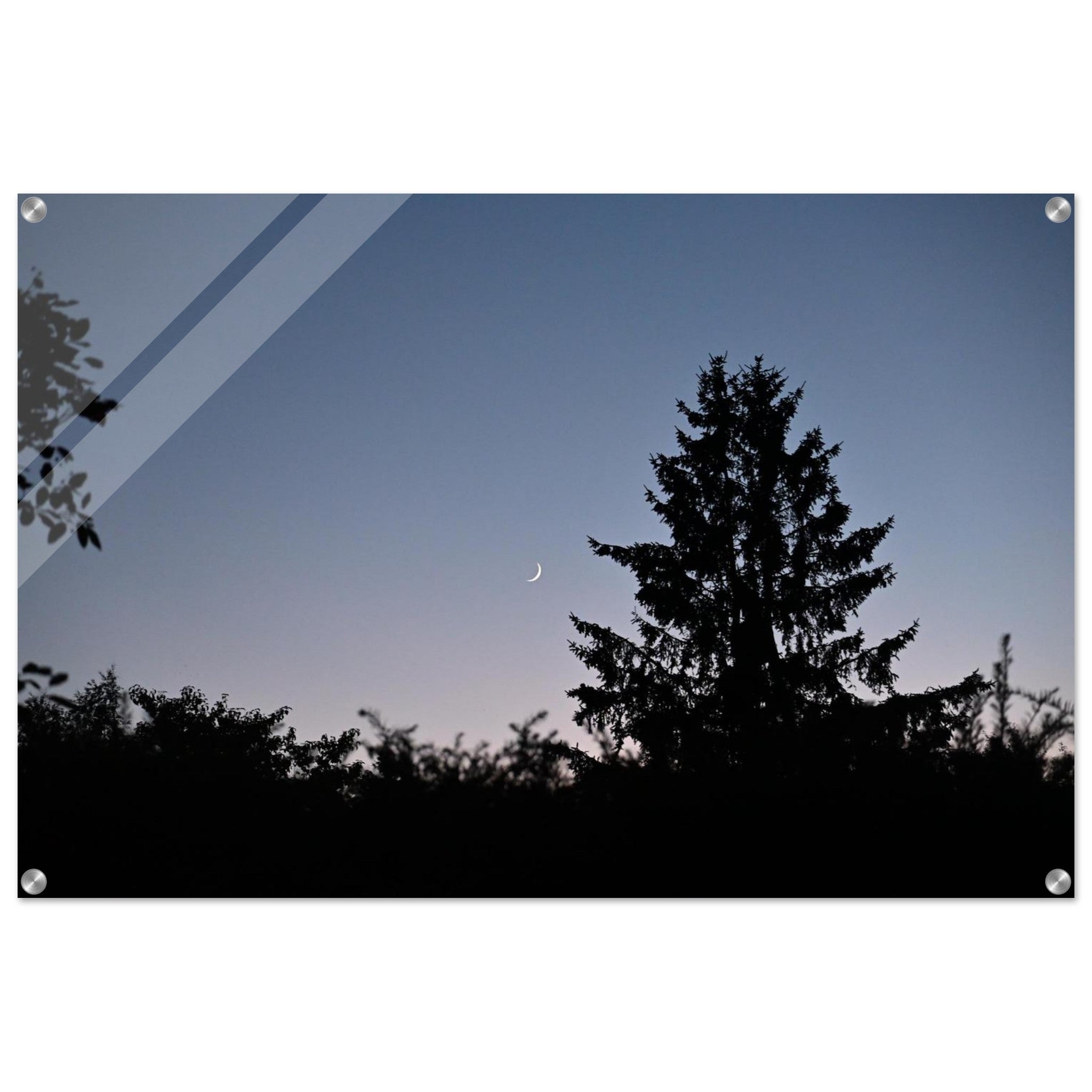 47f03754-fd44-42c1-9186-659e79876821