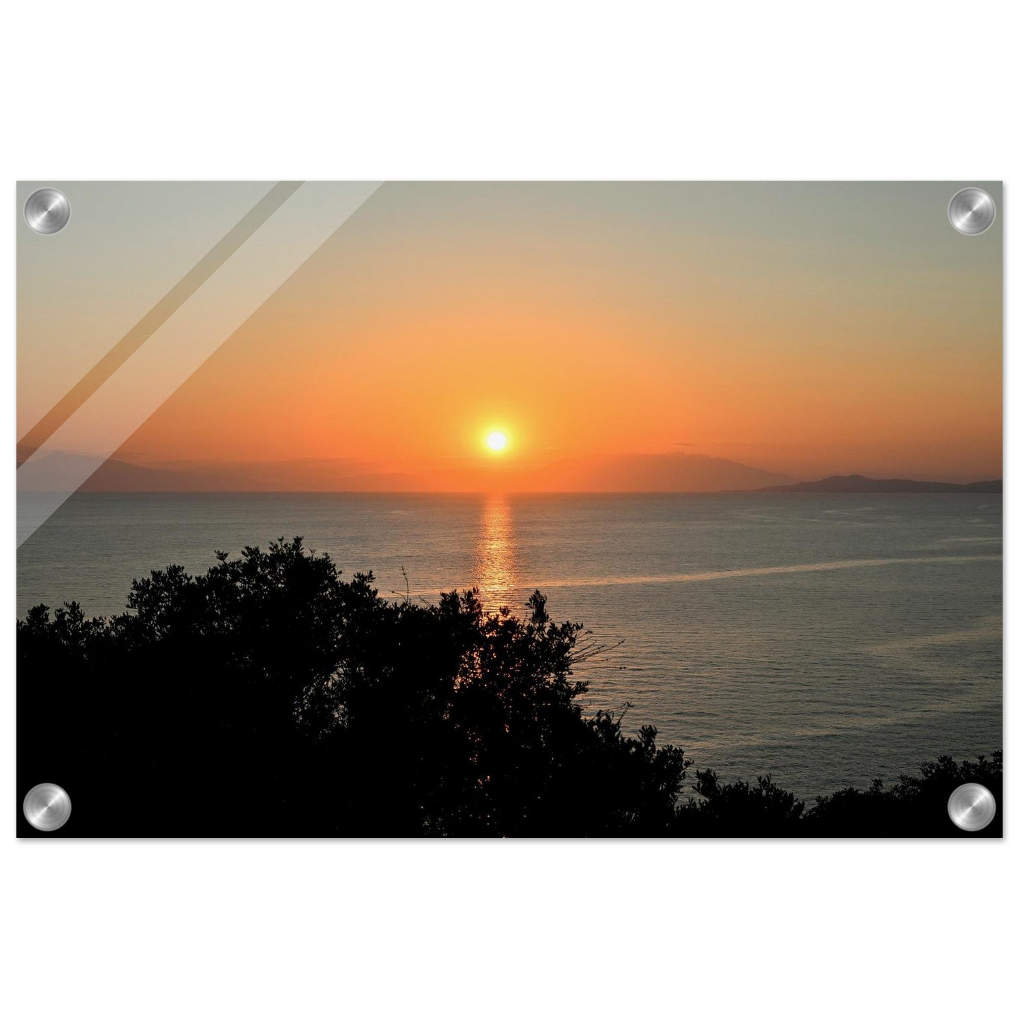 4b7794b8-ab46-492b-97e7-e193ddd69b6e