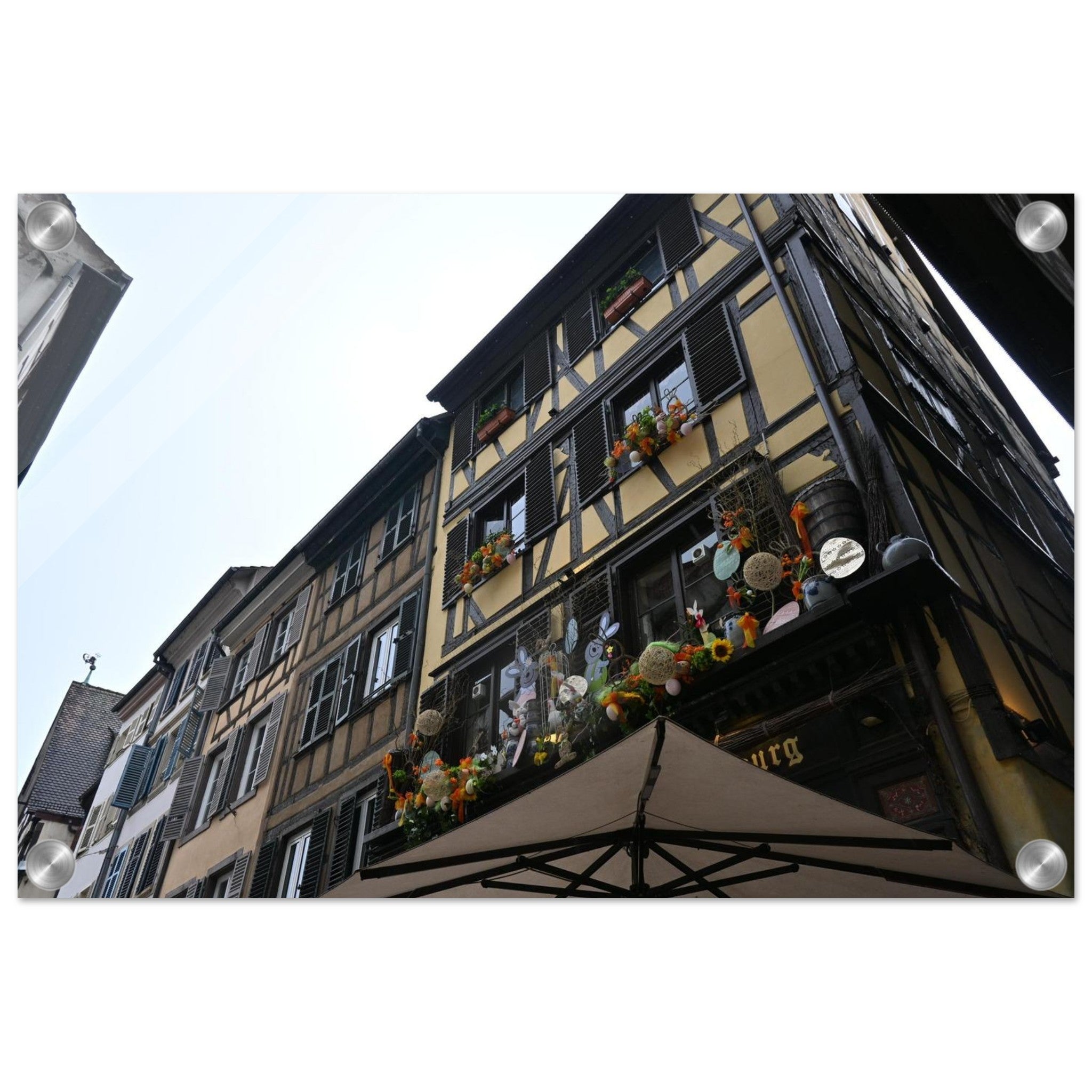 4c1aed1d-f241-4bae-9020-9a15090f72c5