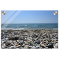 4d14cd96-b43e-48bf-8a53-543ff70a4d19