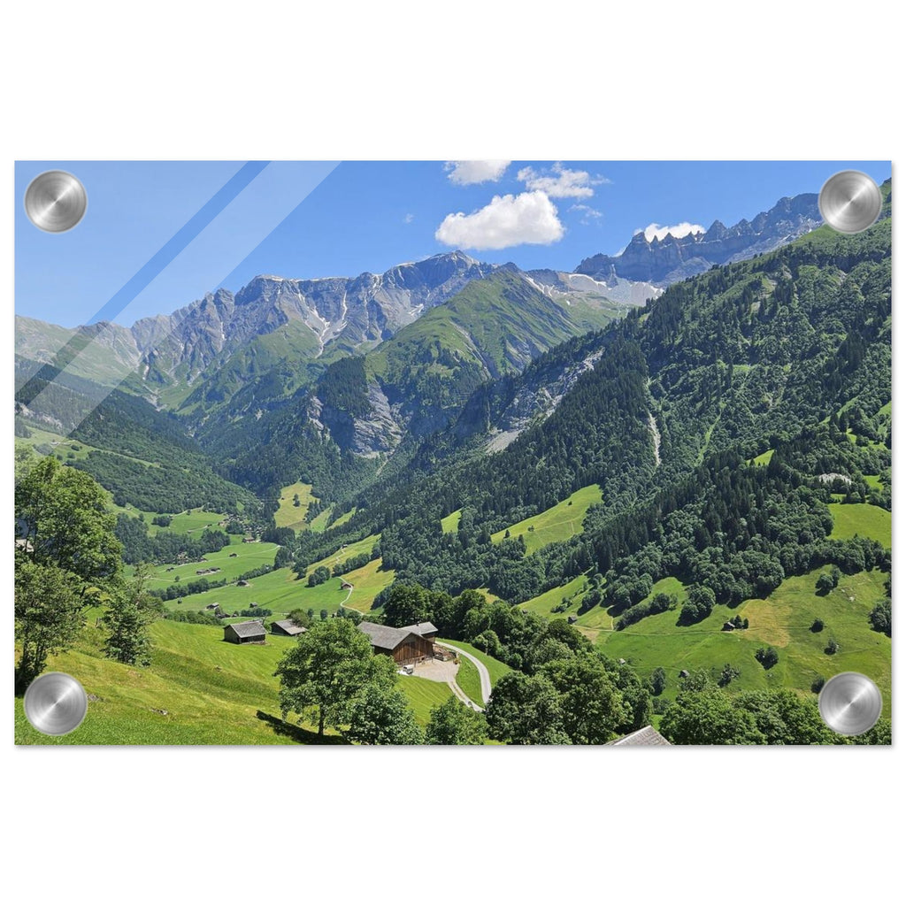 511c6f7b-76d7-420d-9253-4bdc521dbba4