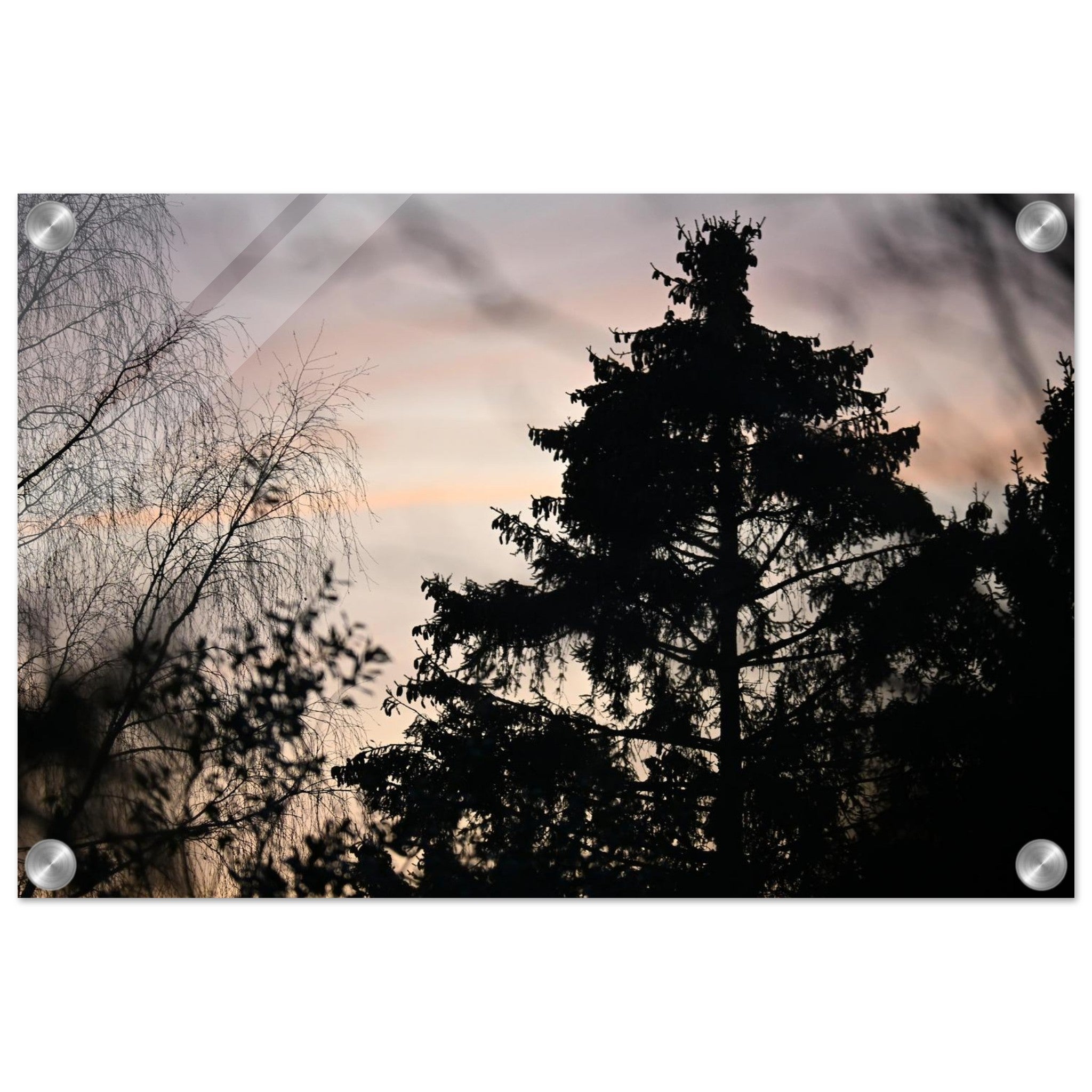 54d70166-eb25-4d37-b9c0-49f9f23c1e6c