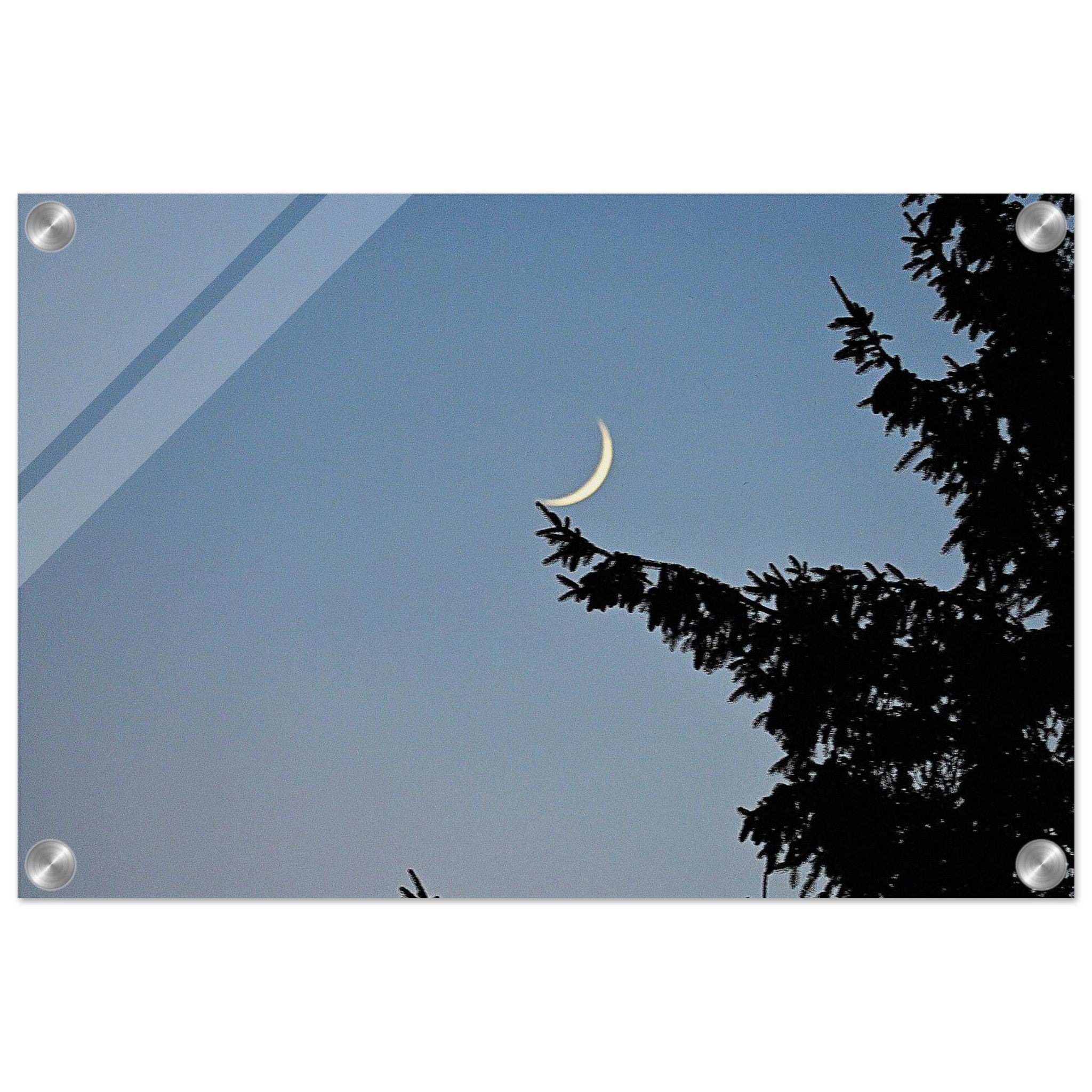 5797f273-5d4d-42b7-b1b3-4972c0421ff7