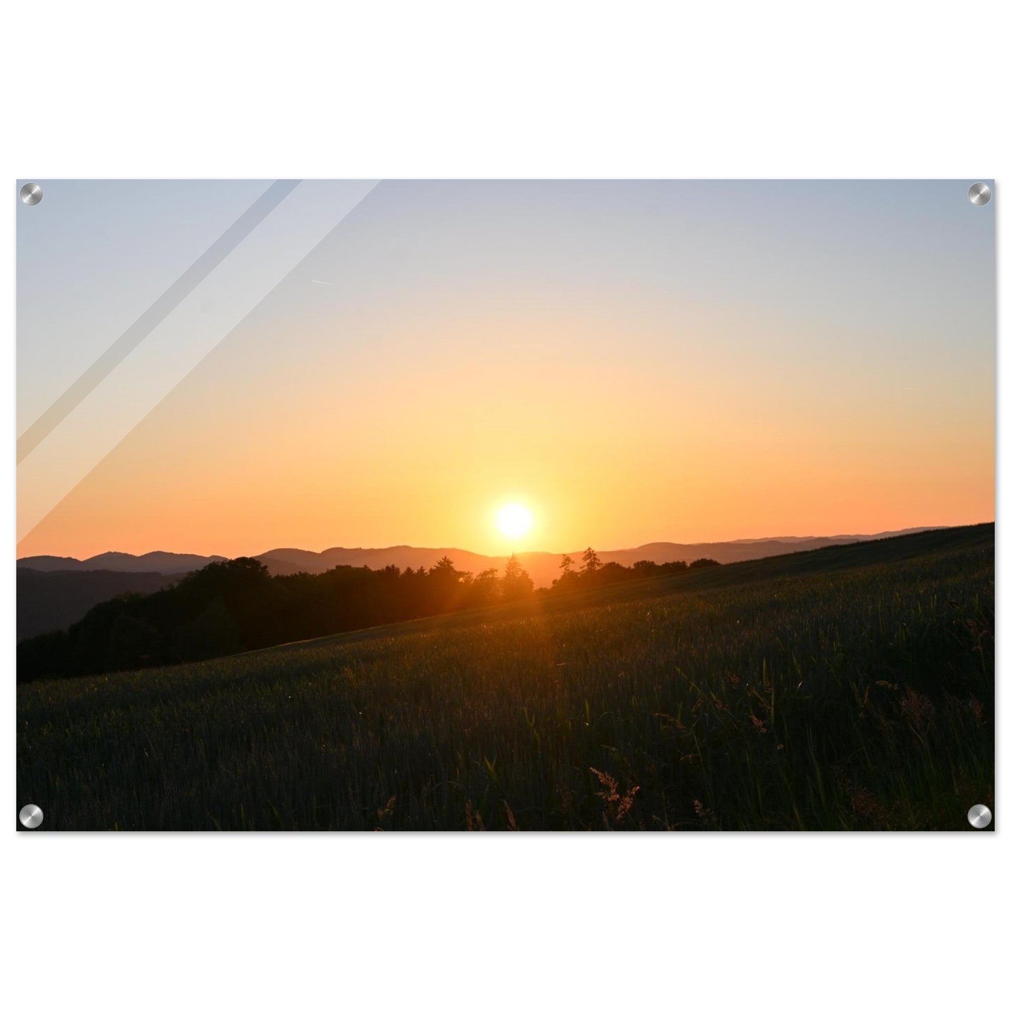 6243eb20-5564-4f45-87bd-e87daab94615