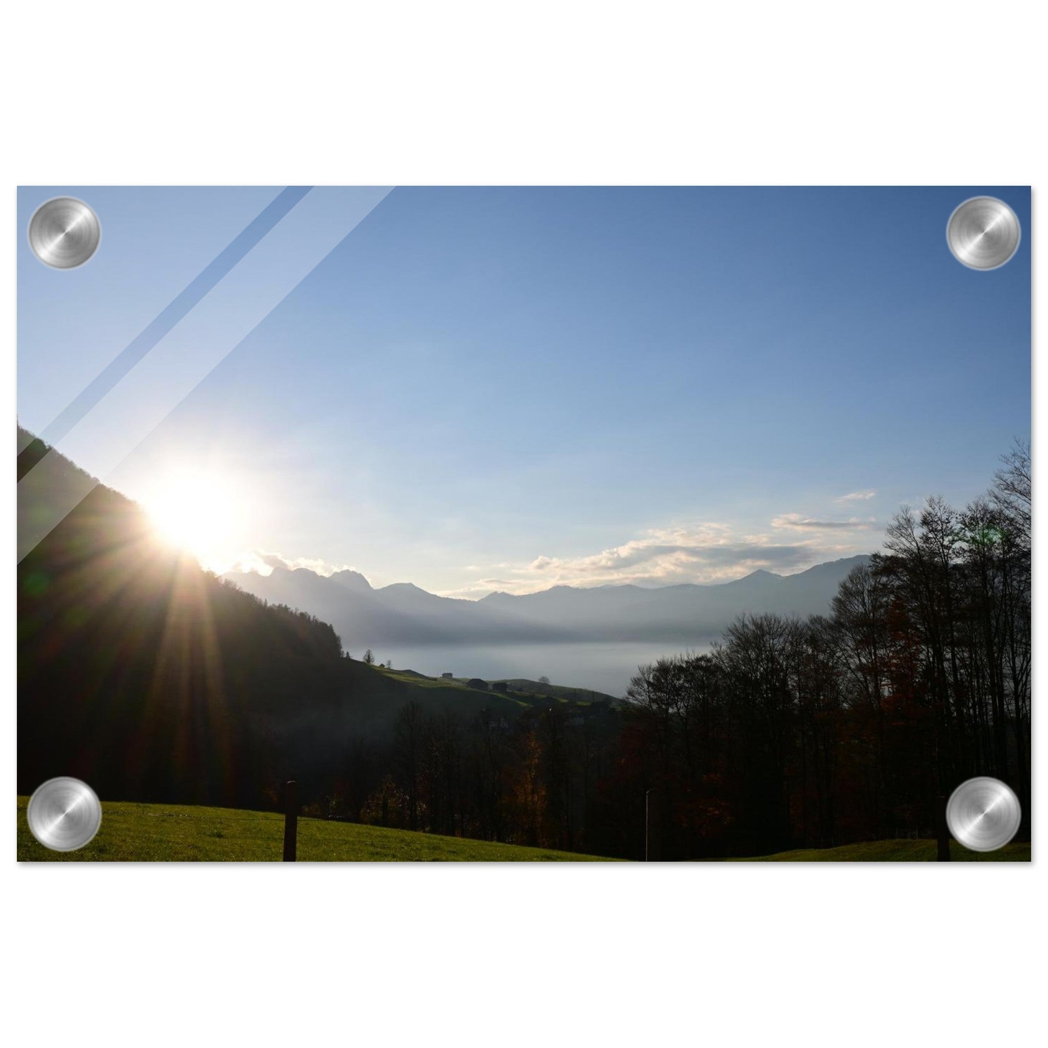 670dd0f9-c464-4ccf-88df-6318dad398ff