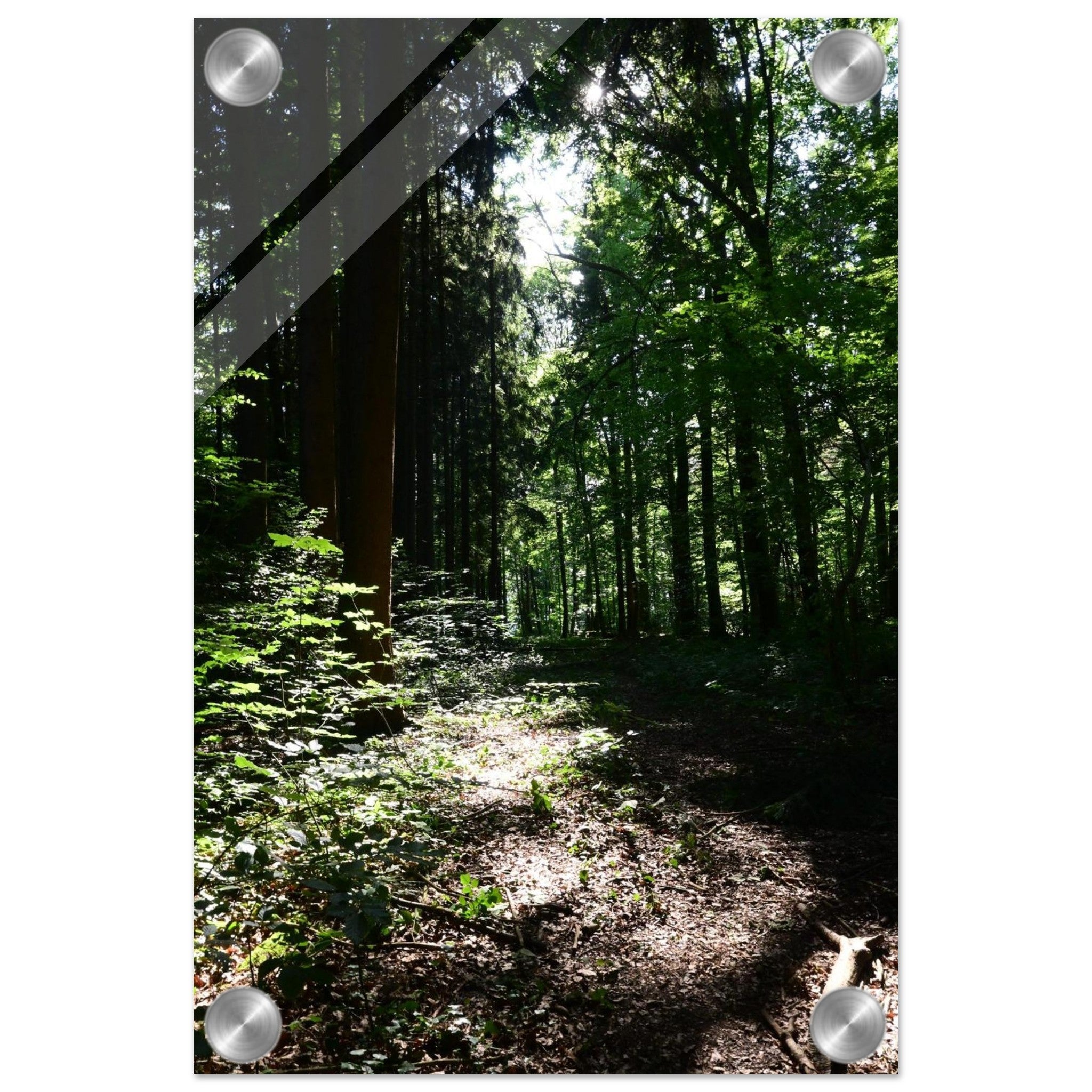 6bdf5968-a5bd-4685-8908-e00bb255288a