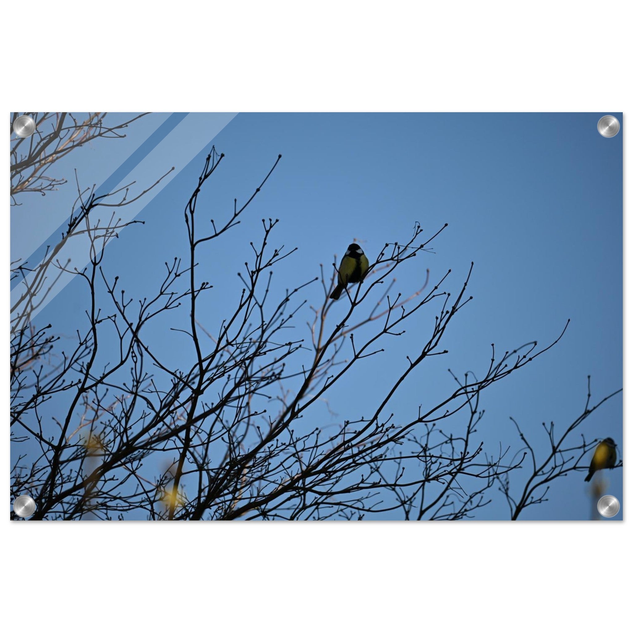 6cf99184-2b60-4191-8ee1-e2609eebf394