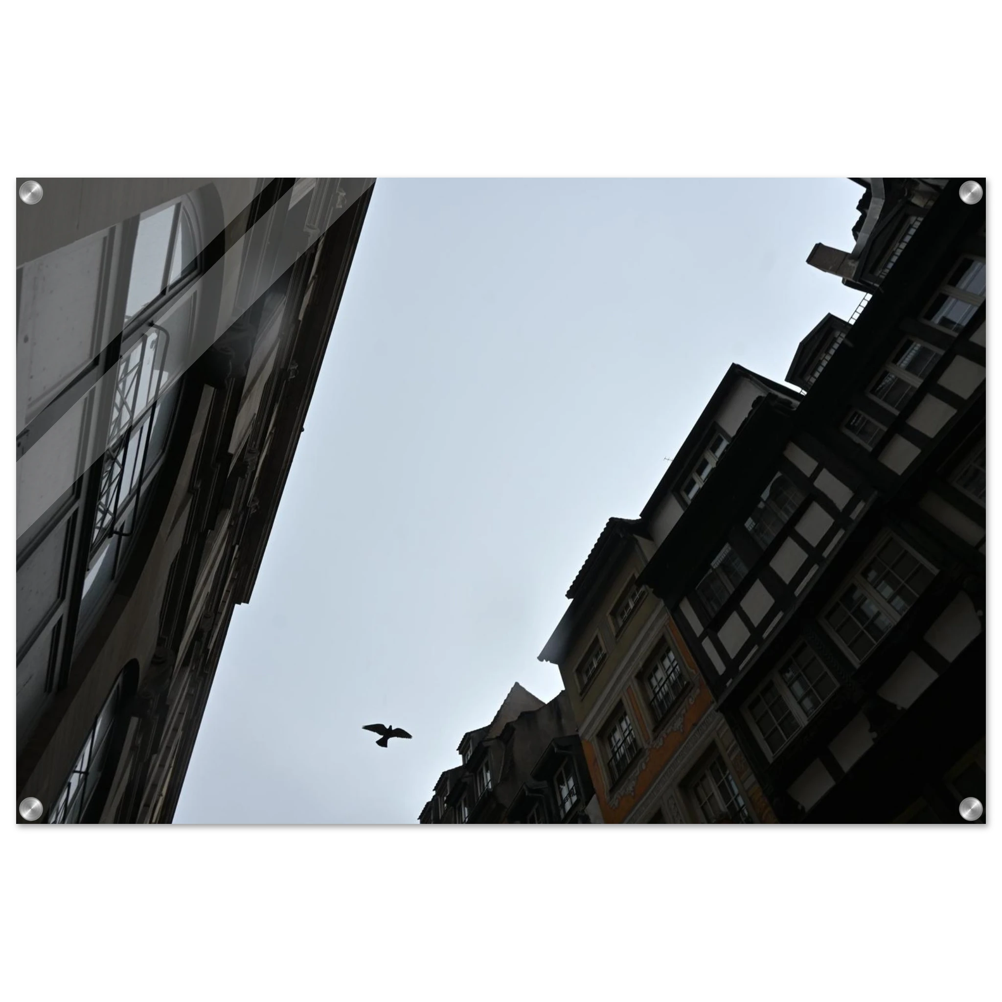 74c23216-baa2-4eaa-b19b-e334e3a4beaa